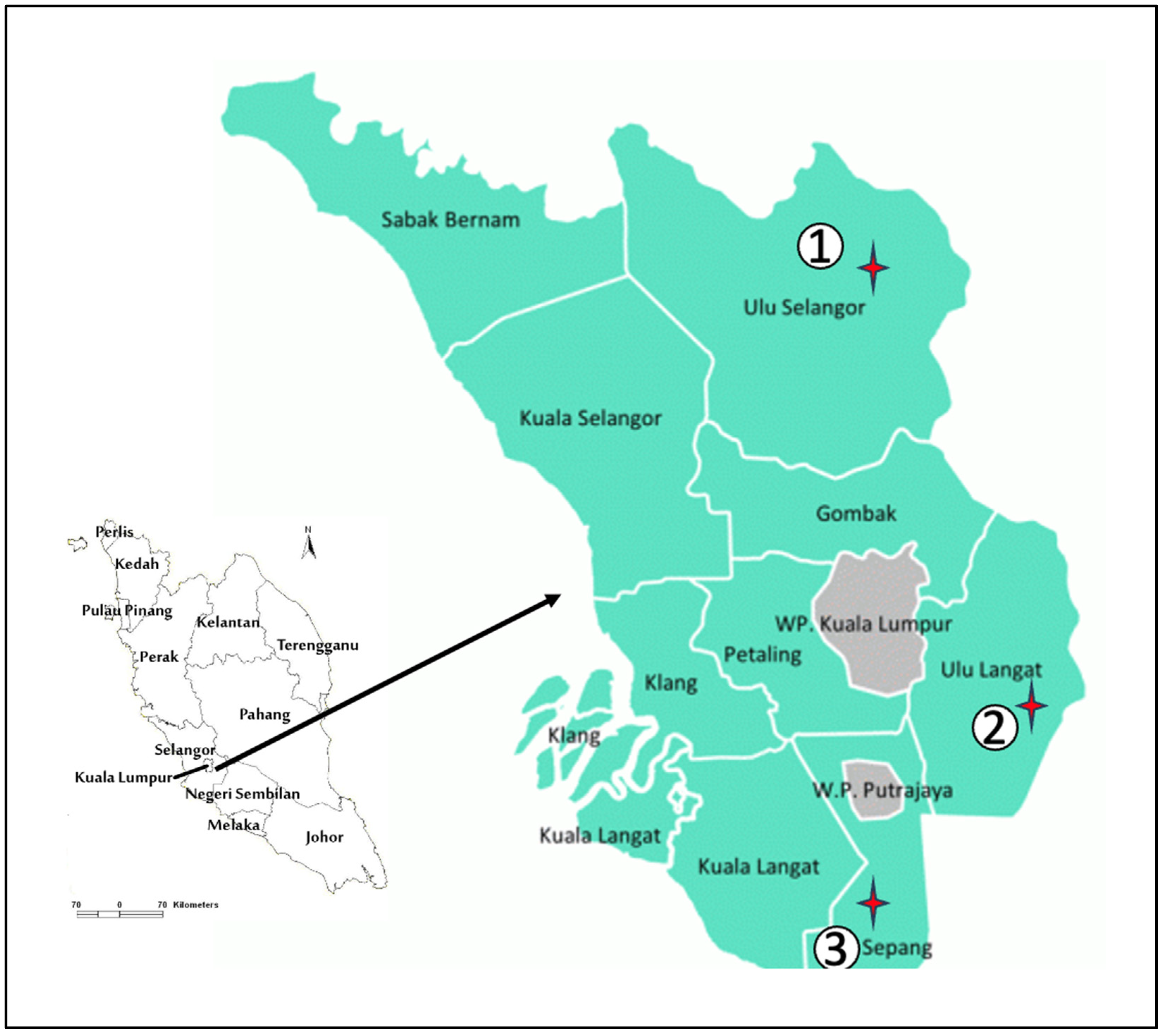 Vetsci 12 00443 g001