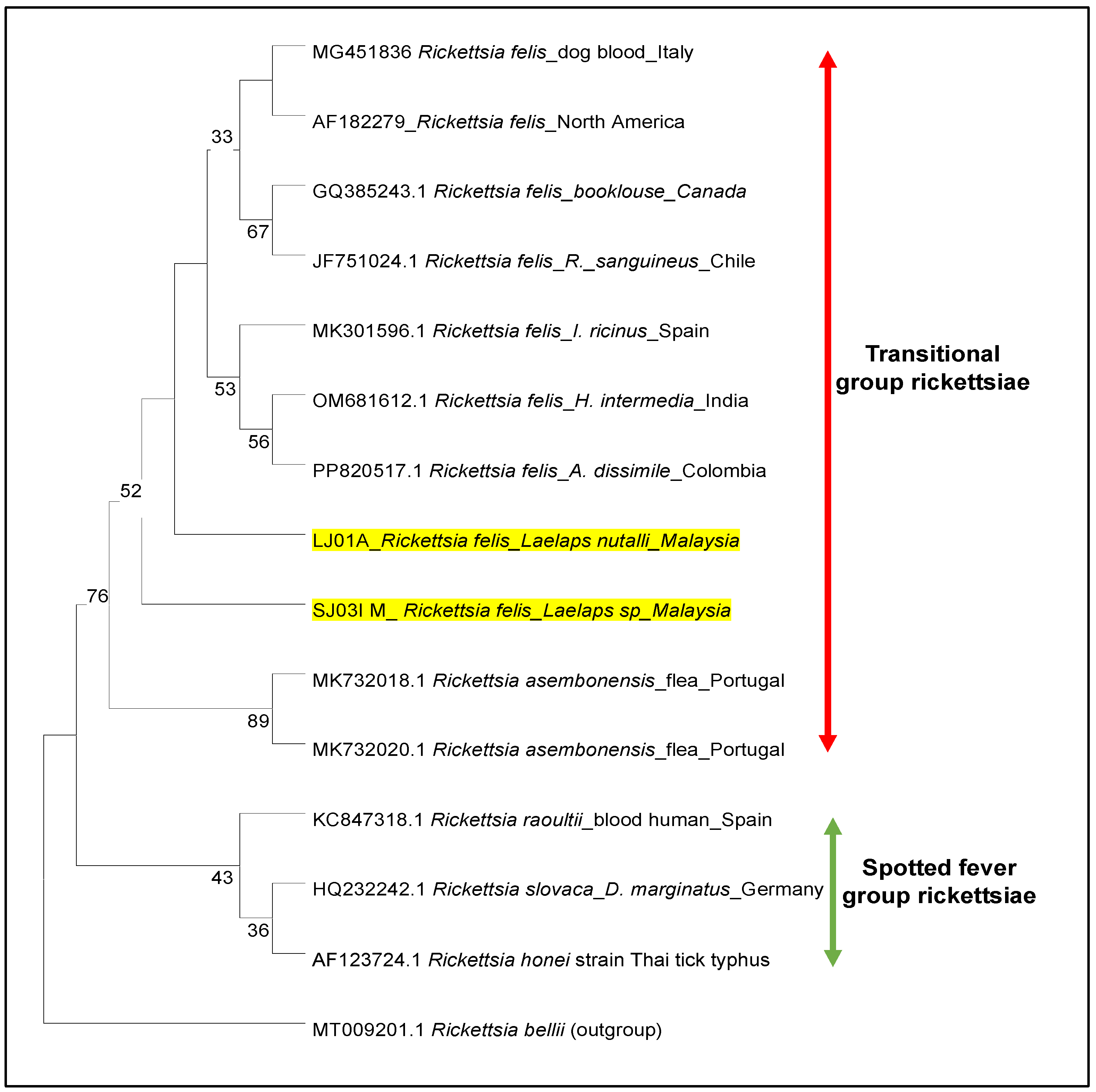 Vetsci 12 00443 g003