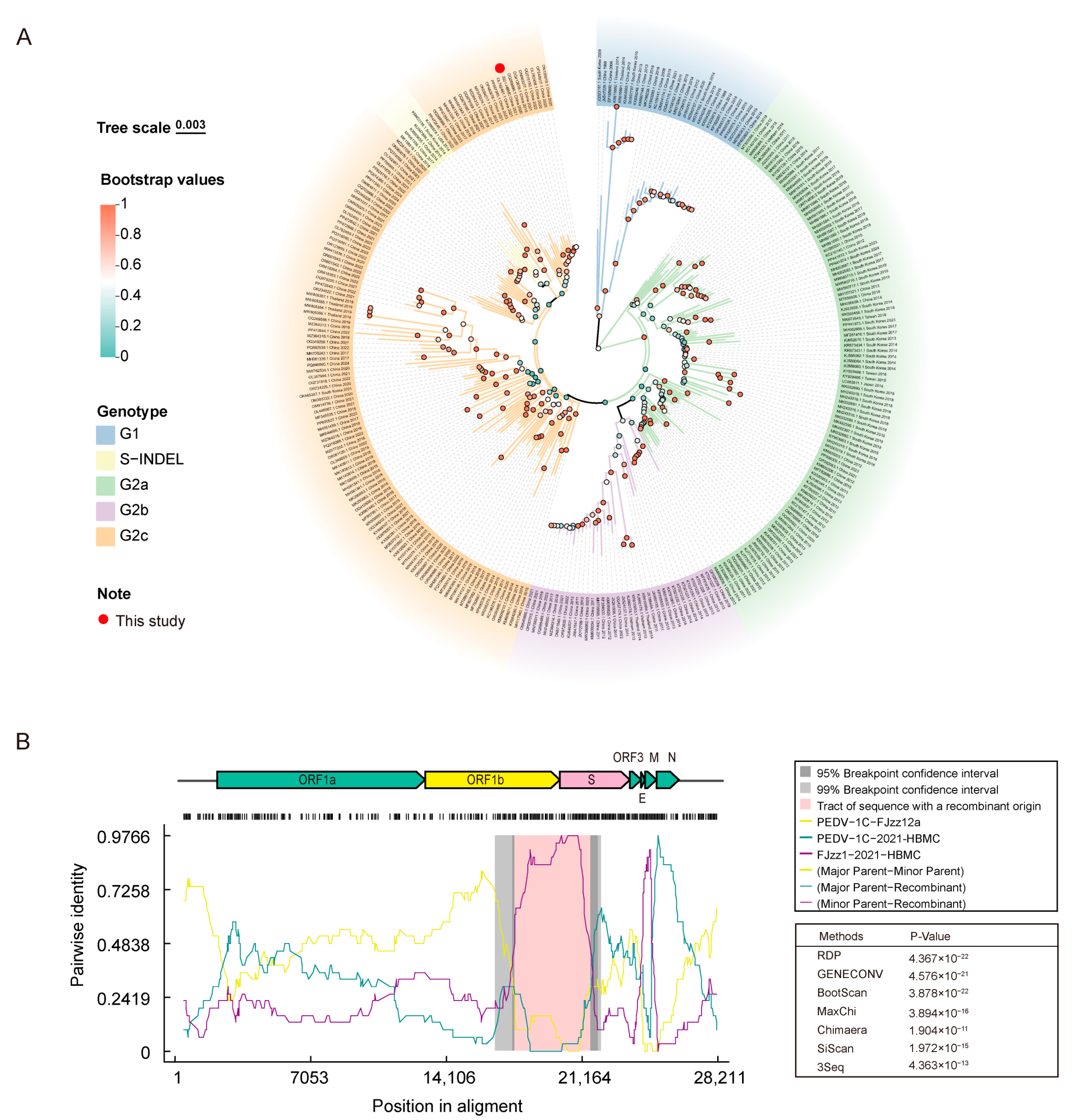Vetsci 12 00444 g005