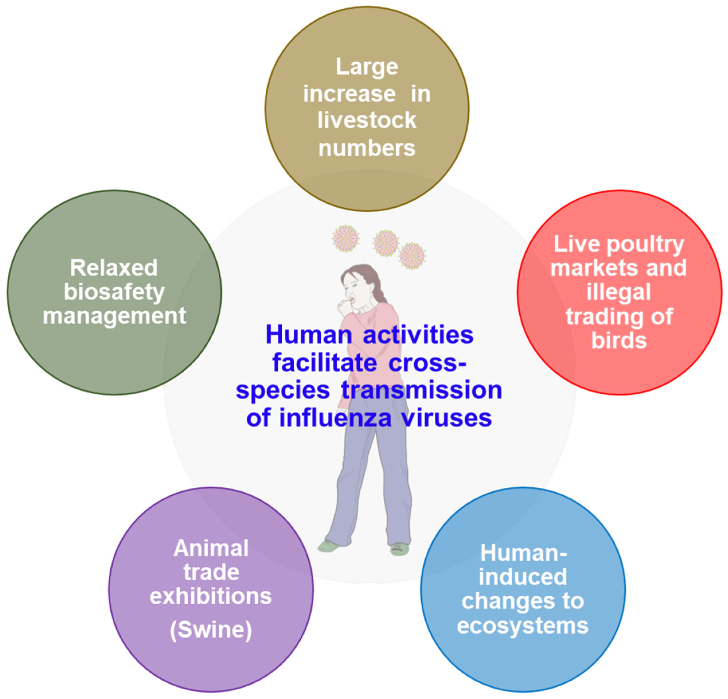 Vetsci 12 00447 g003