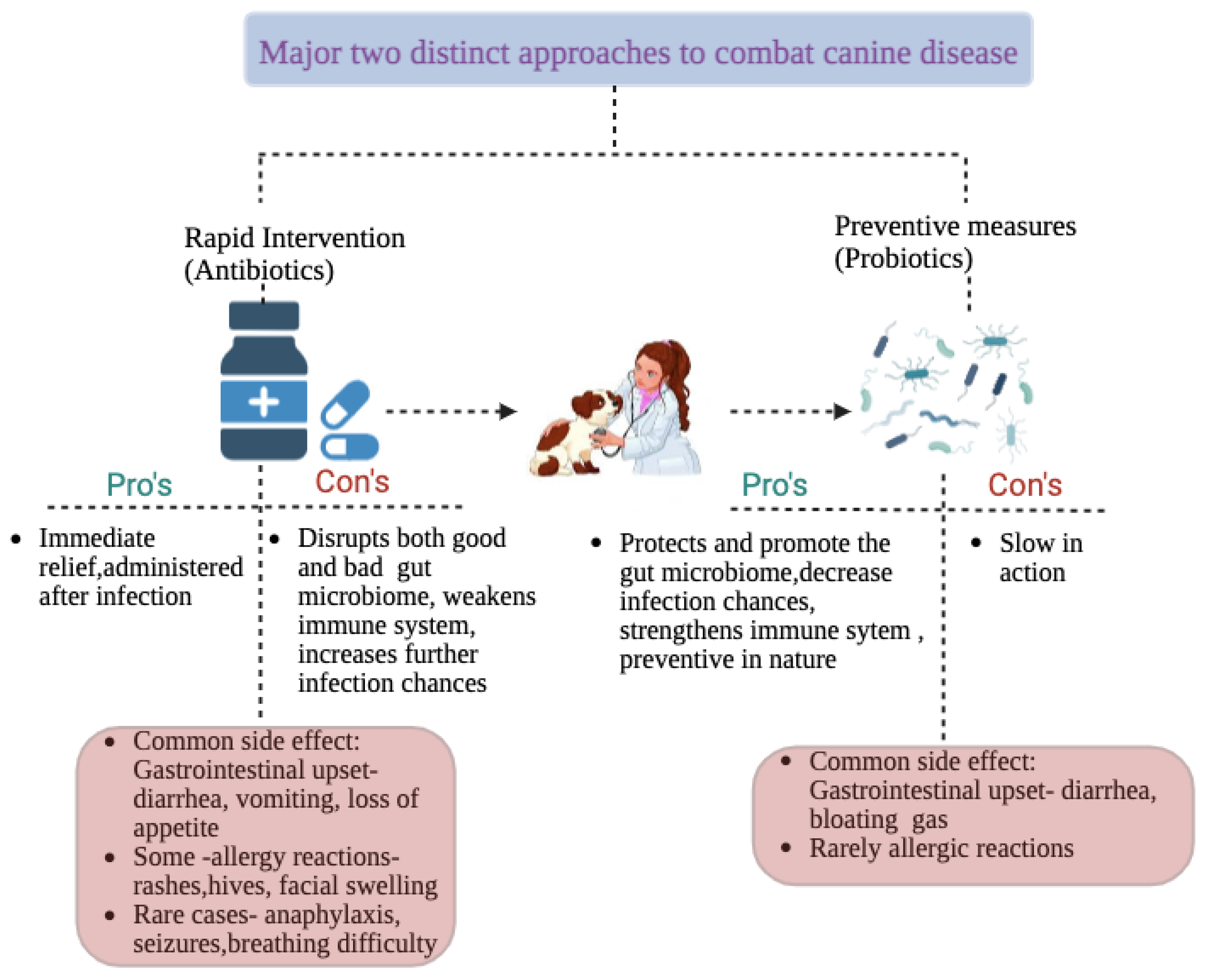 Vetsci 12 00449 g001
