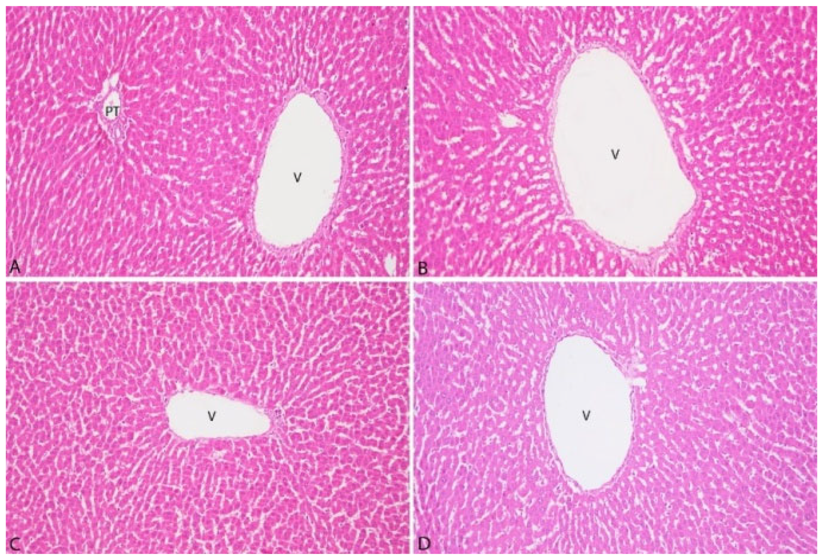 Vetsci 12 00451 g004