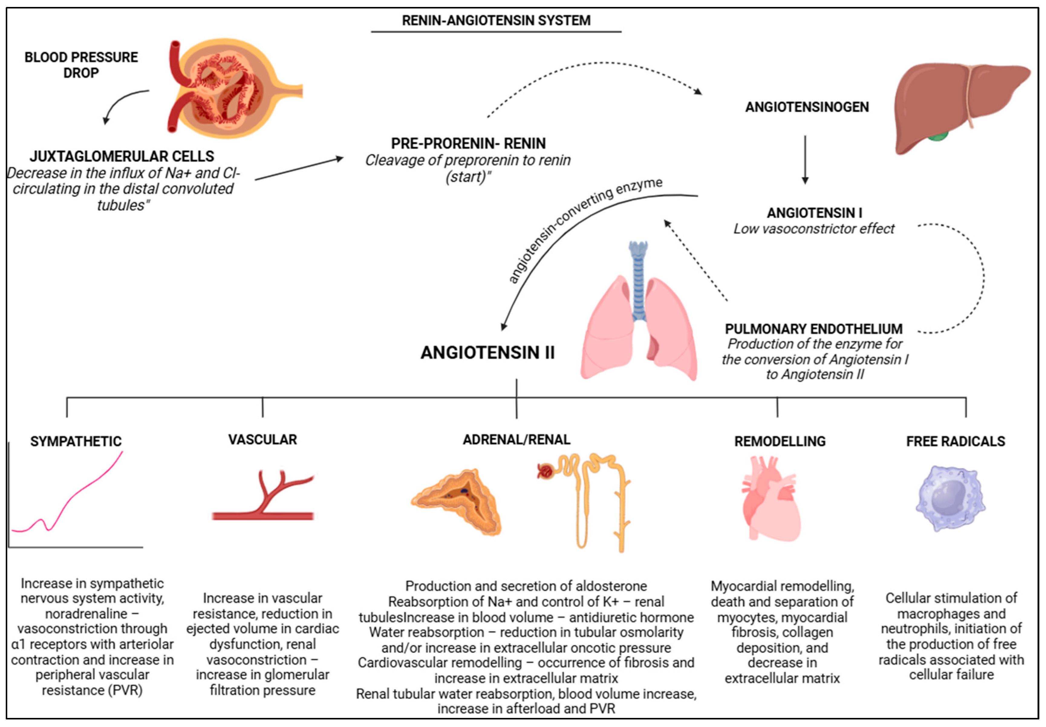 Vetsci 12 00453 g002