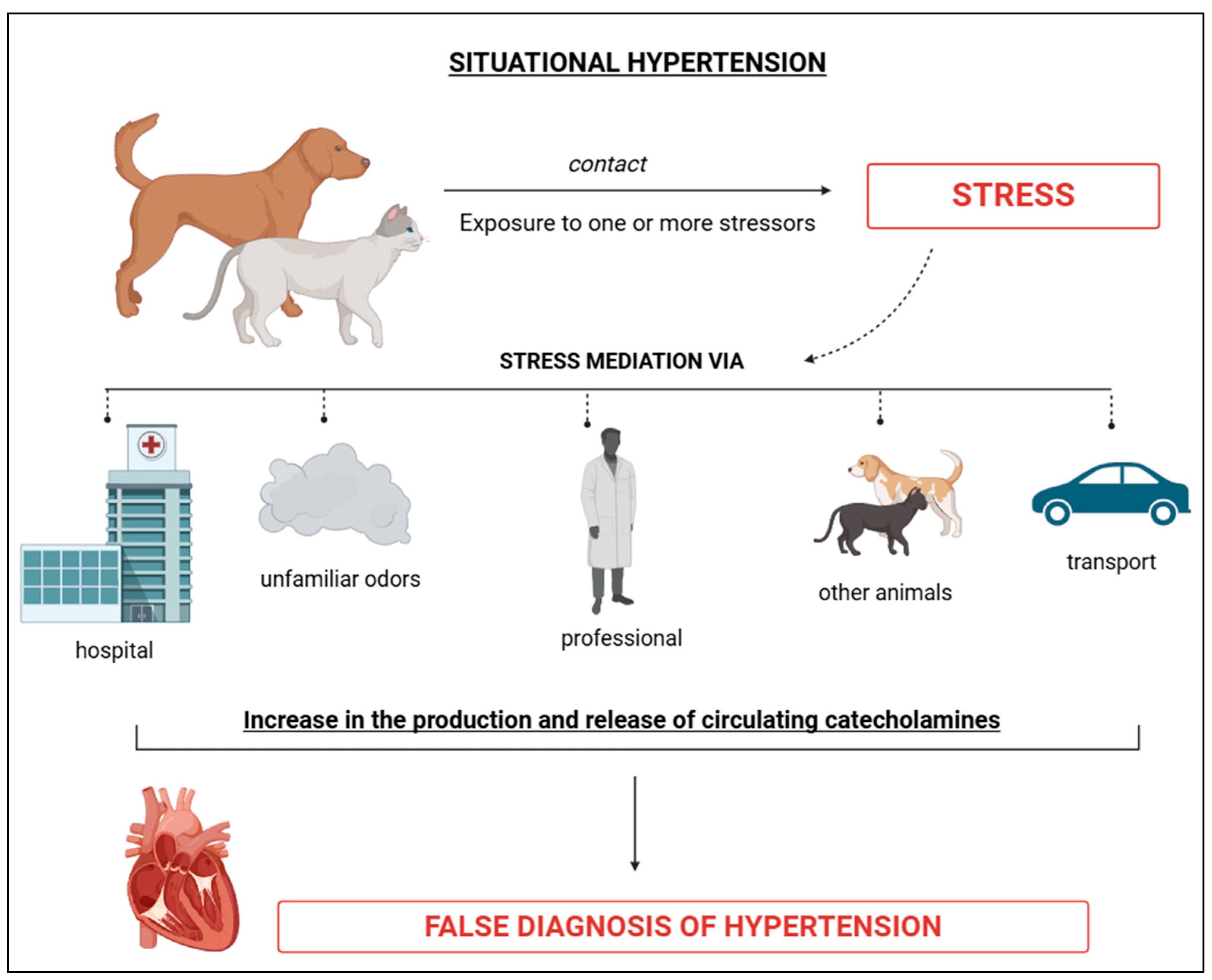 Vetsci 12 00453 g003
