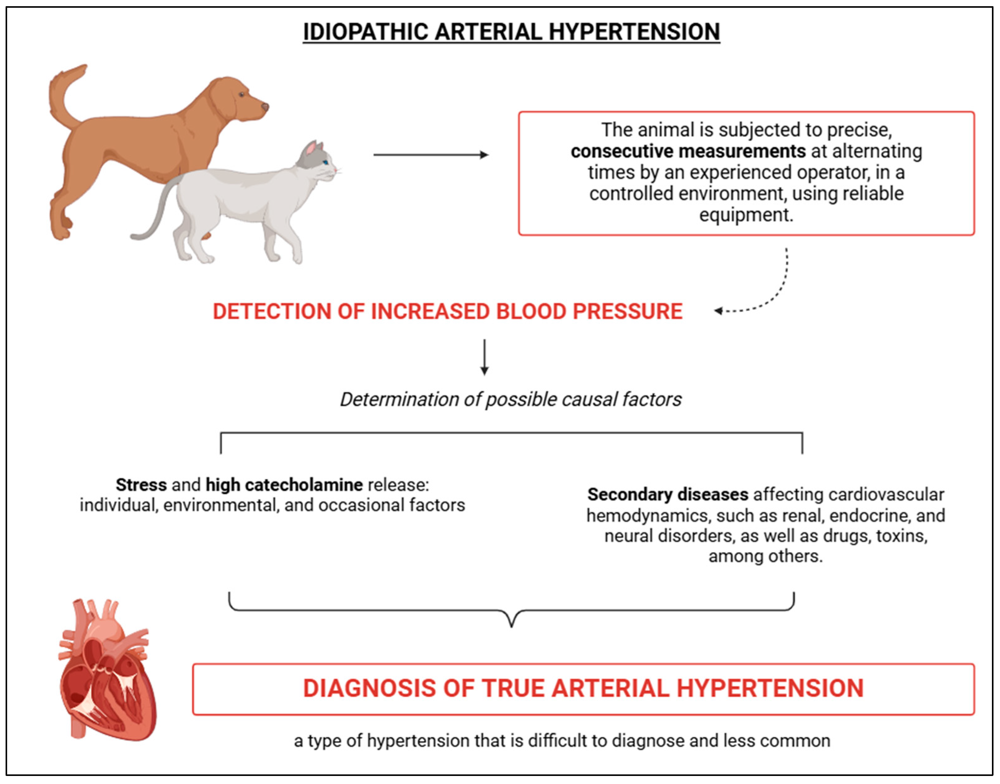 Vetsci 12 00453 g004
