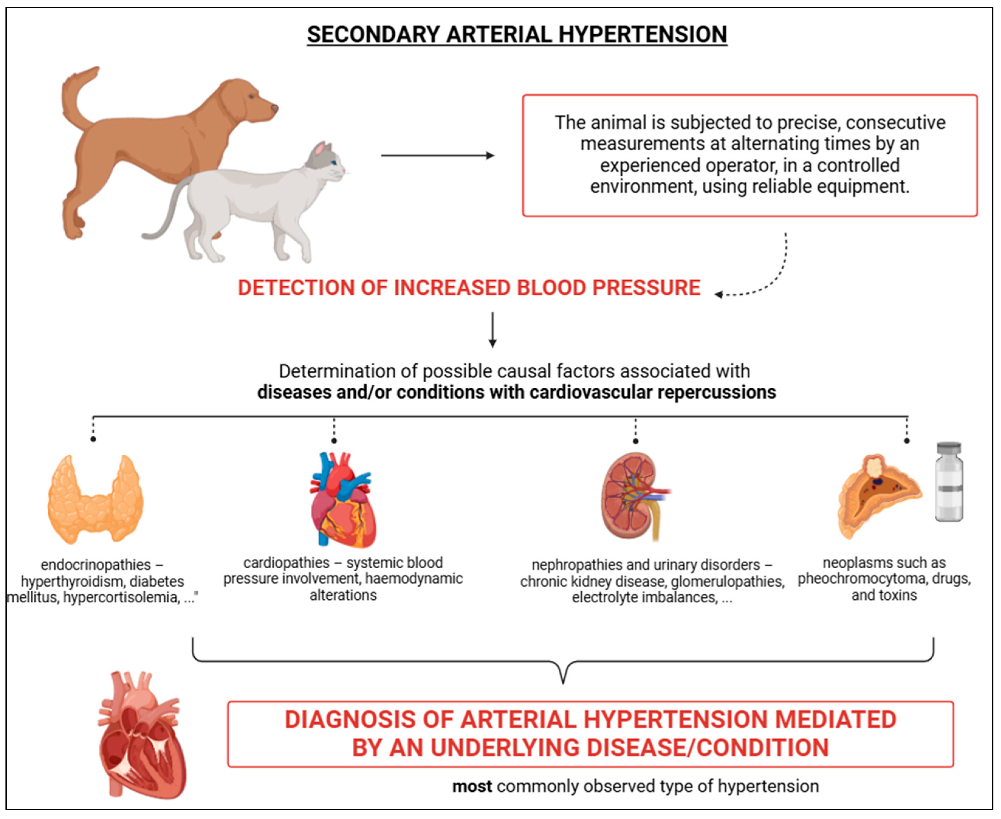 Vetsci 12 00453 g005