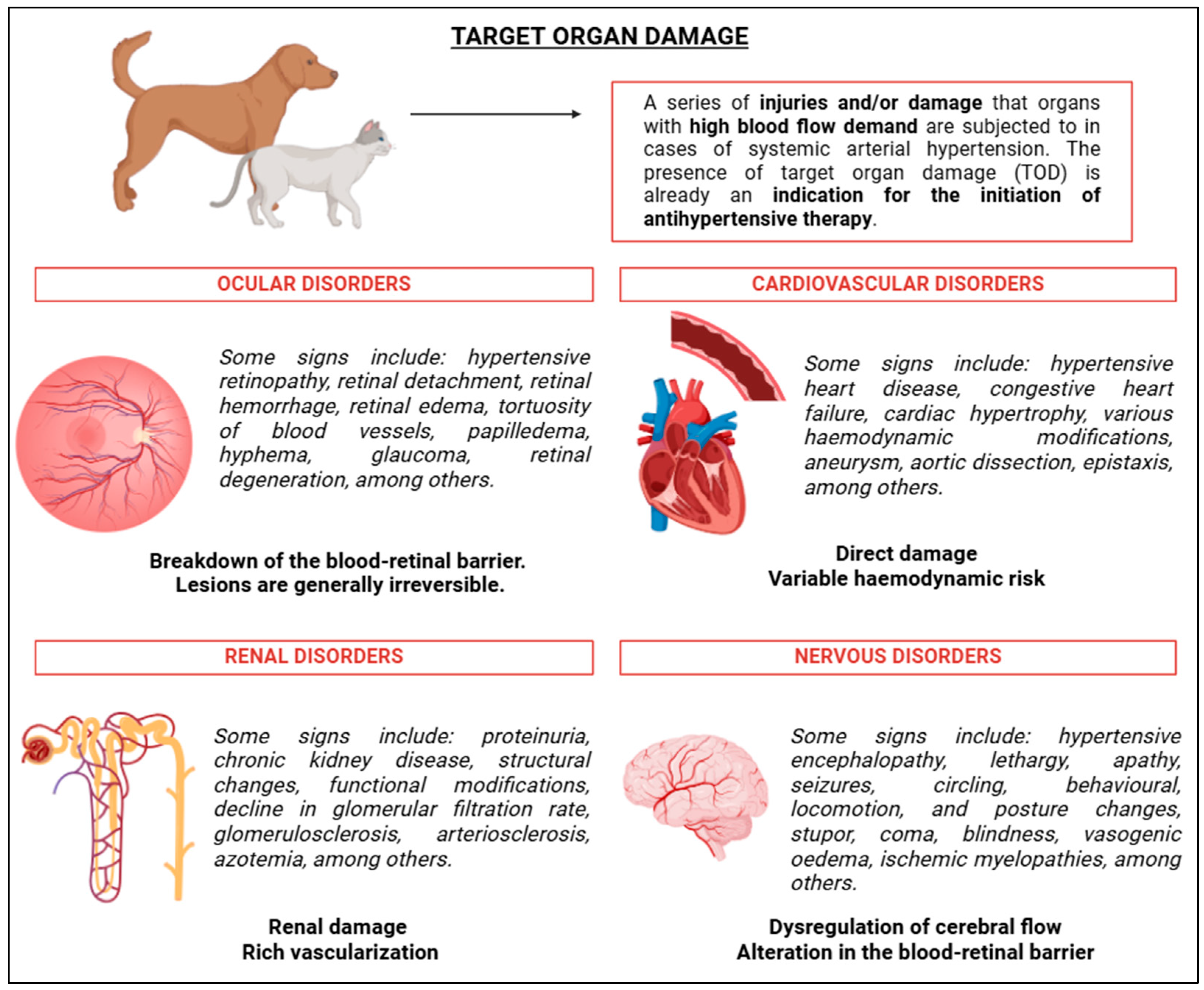 Vetsci 12 00453 g007