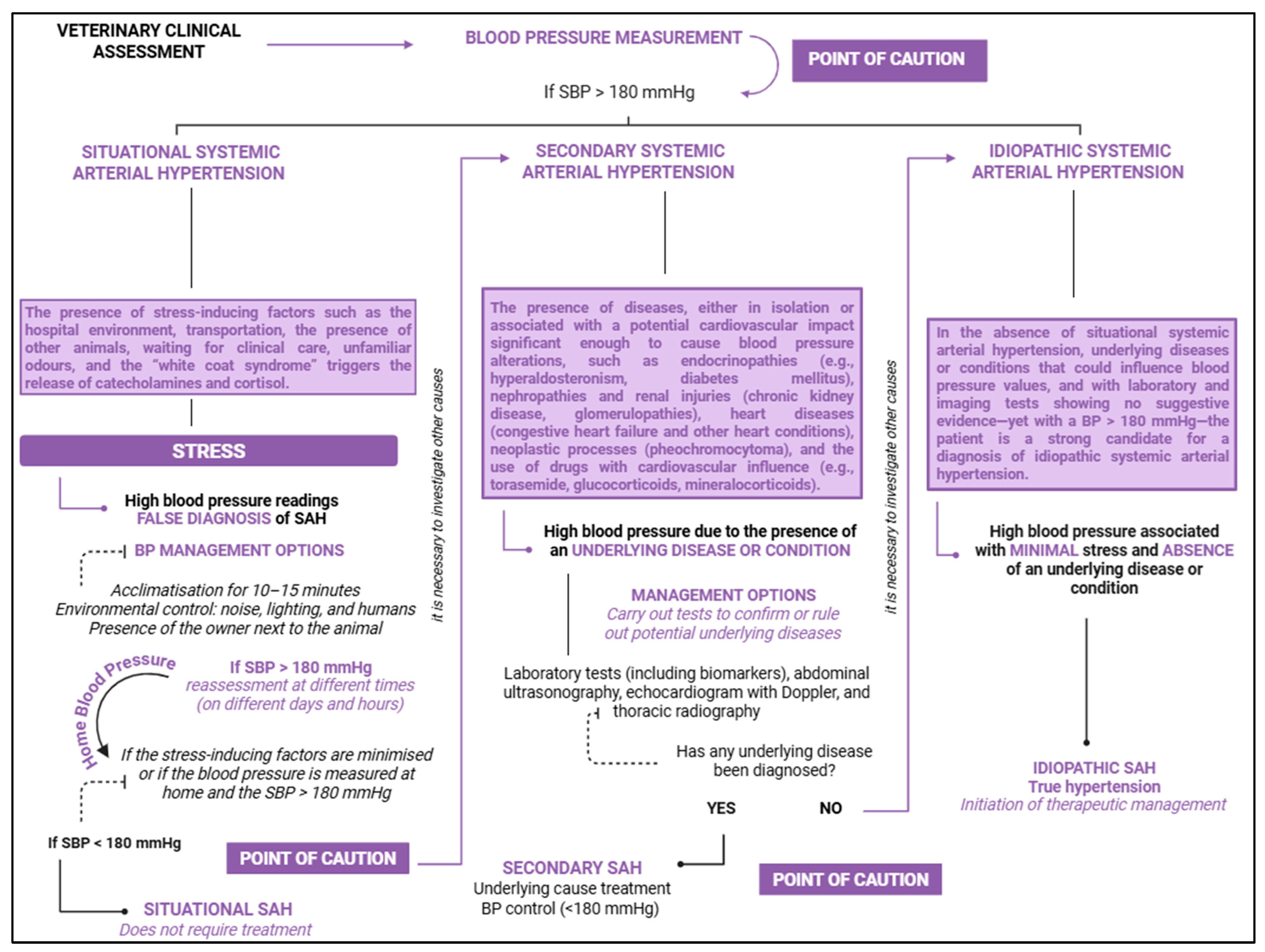 Vetsci 12 00453 g008