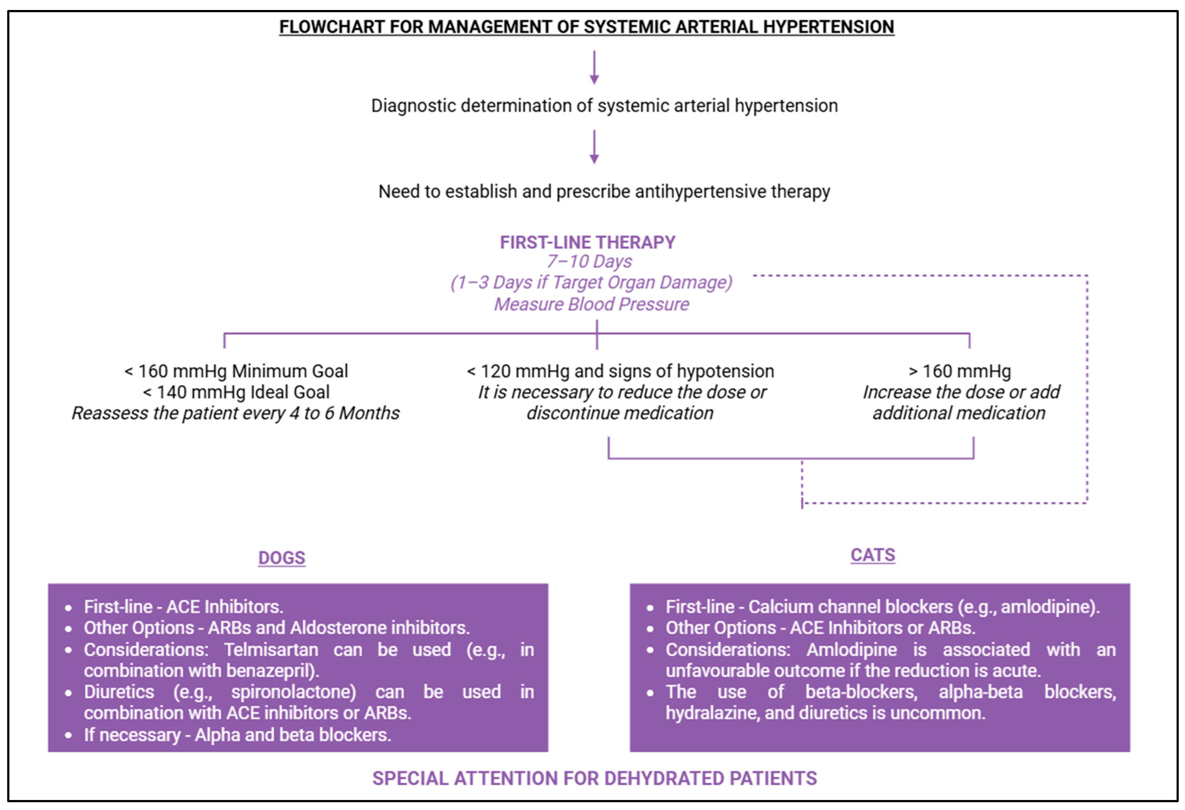 Vetsci 12 00453 g009