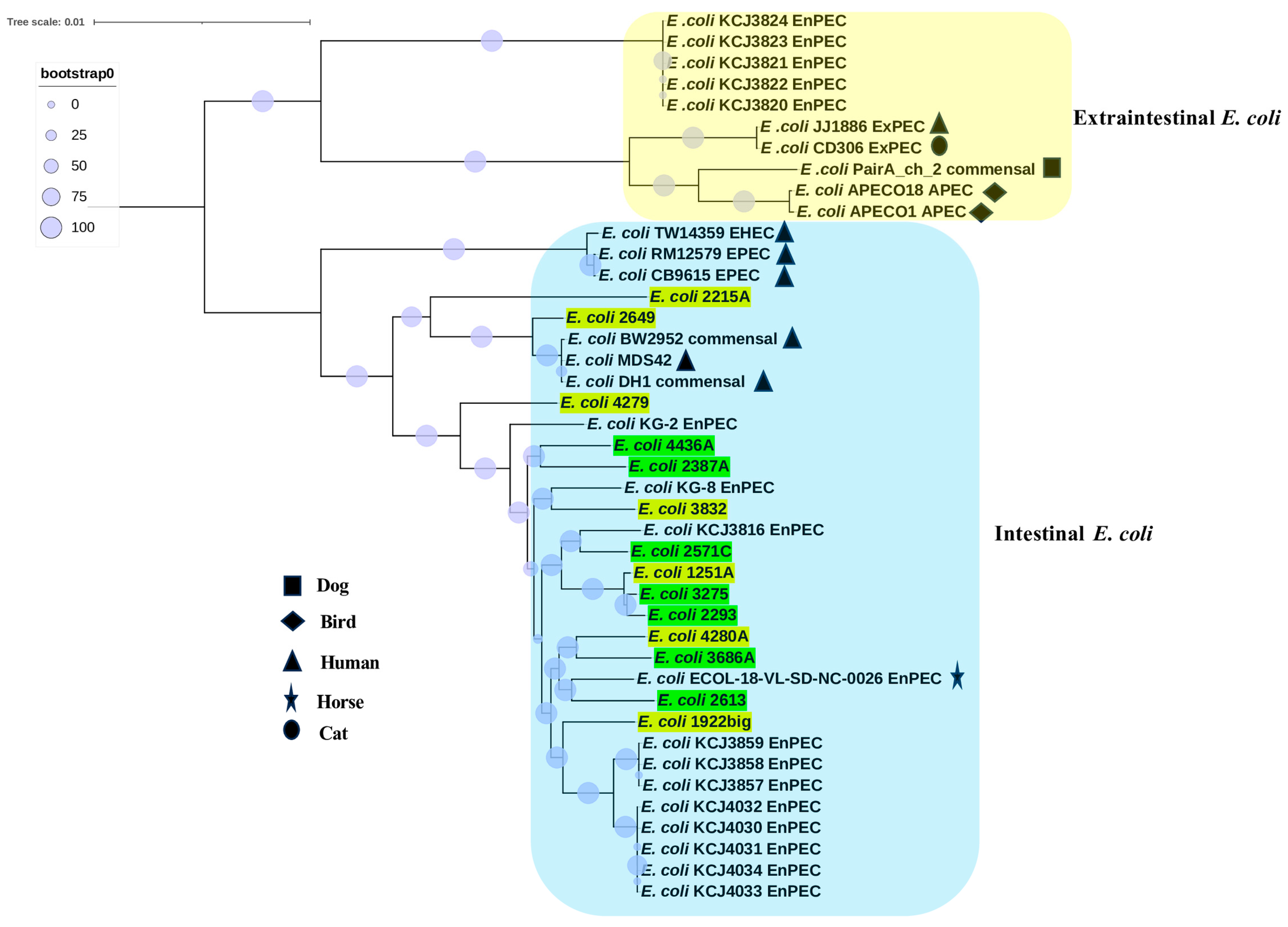 Vetsci 12 00457 g002