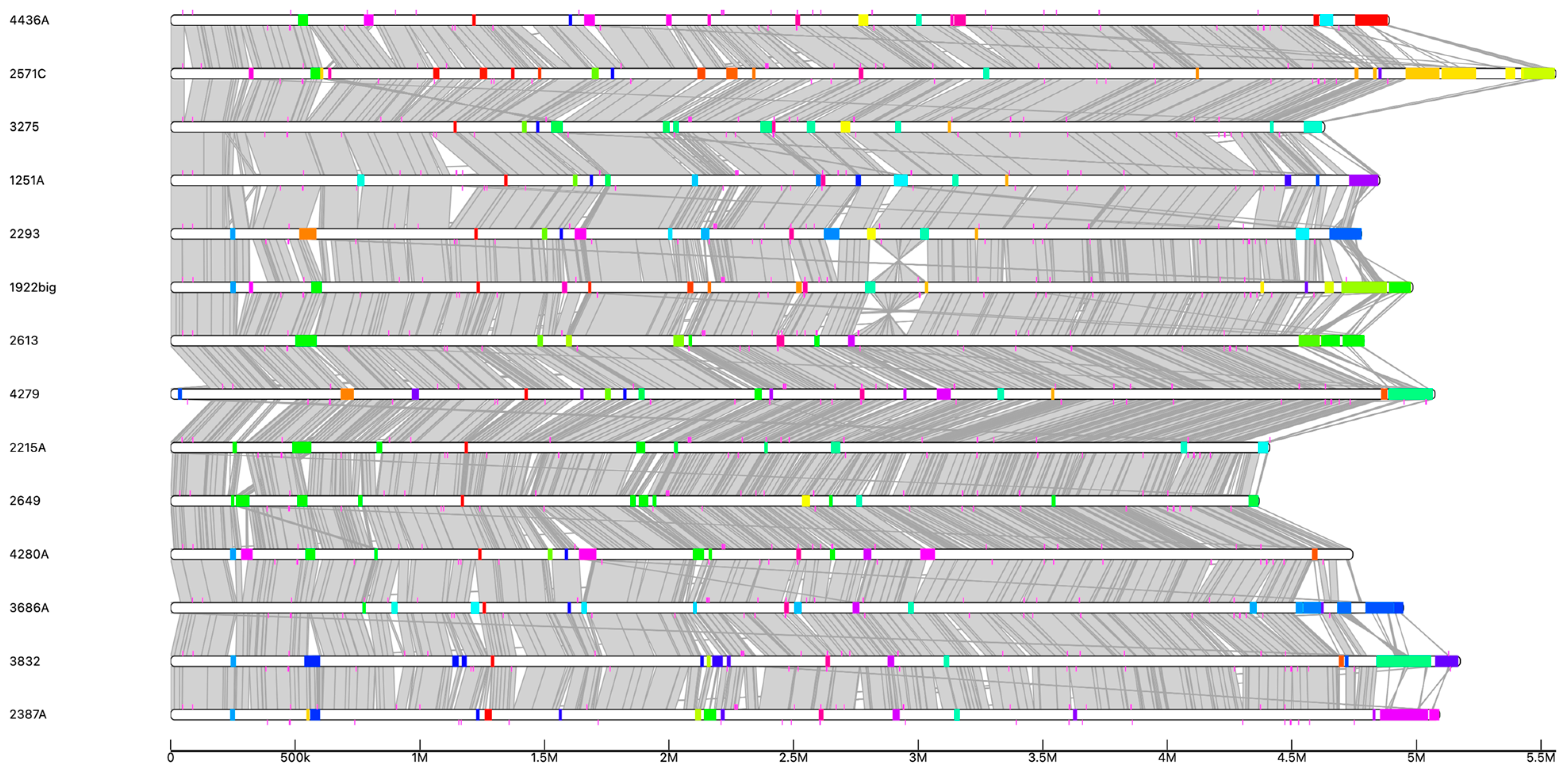Vetsci 12 00457 g003