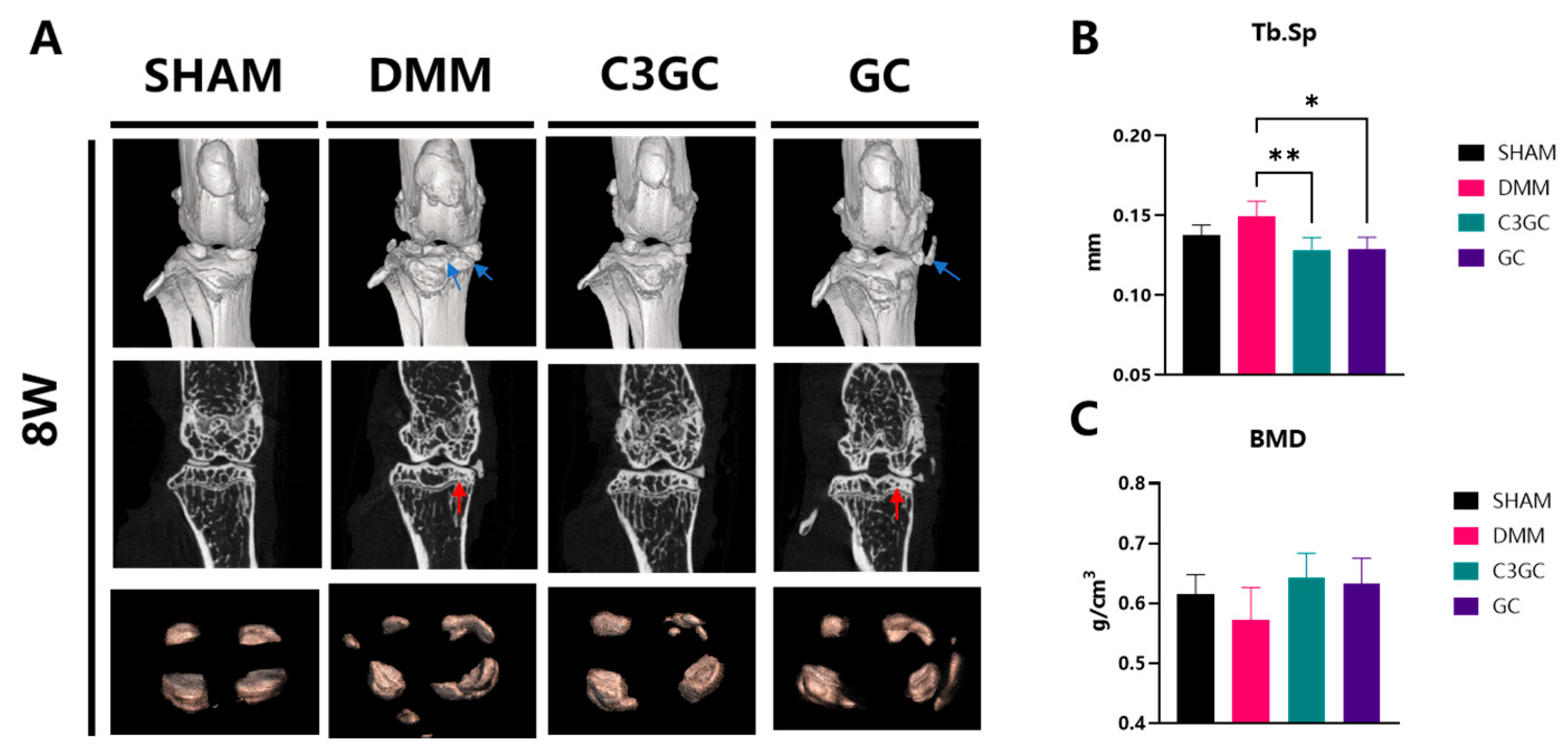 Vetsci 12 00462 g003