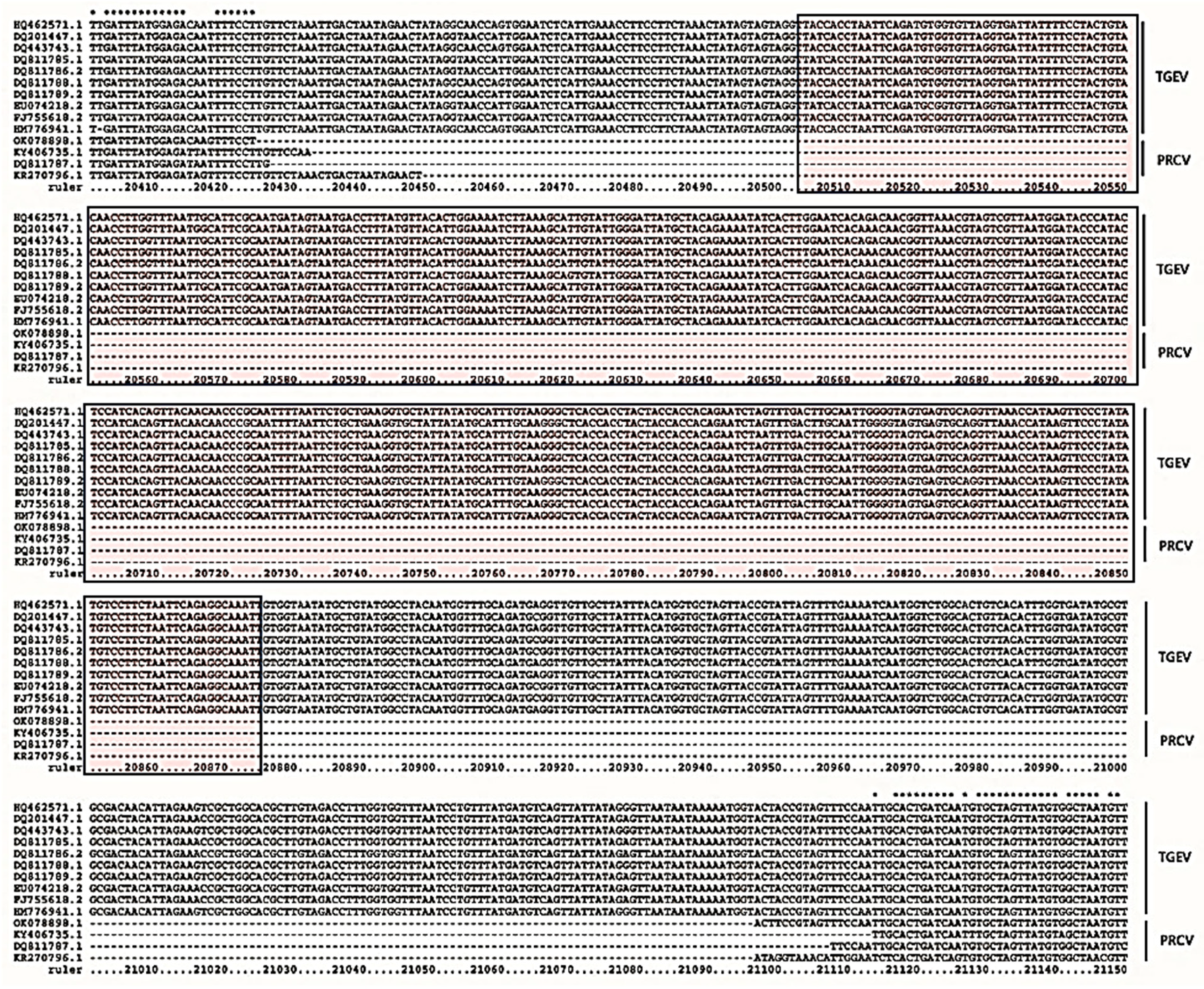 Vetsci 12 00464 g001