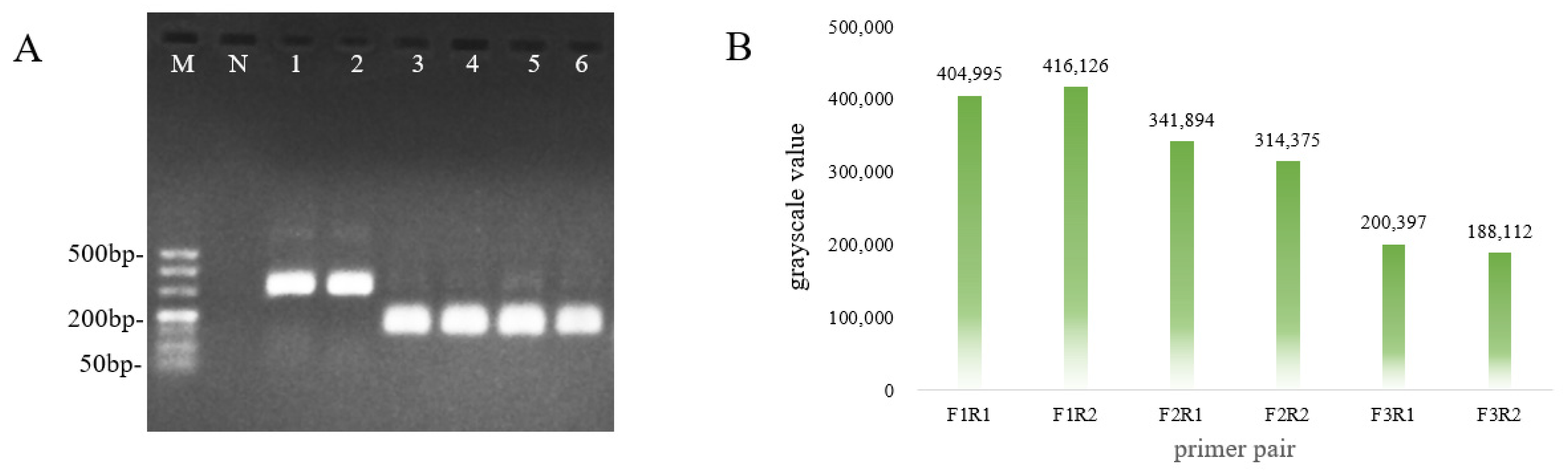 Vetsci 12 00464 g004