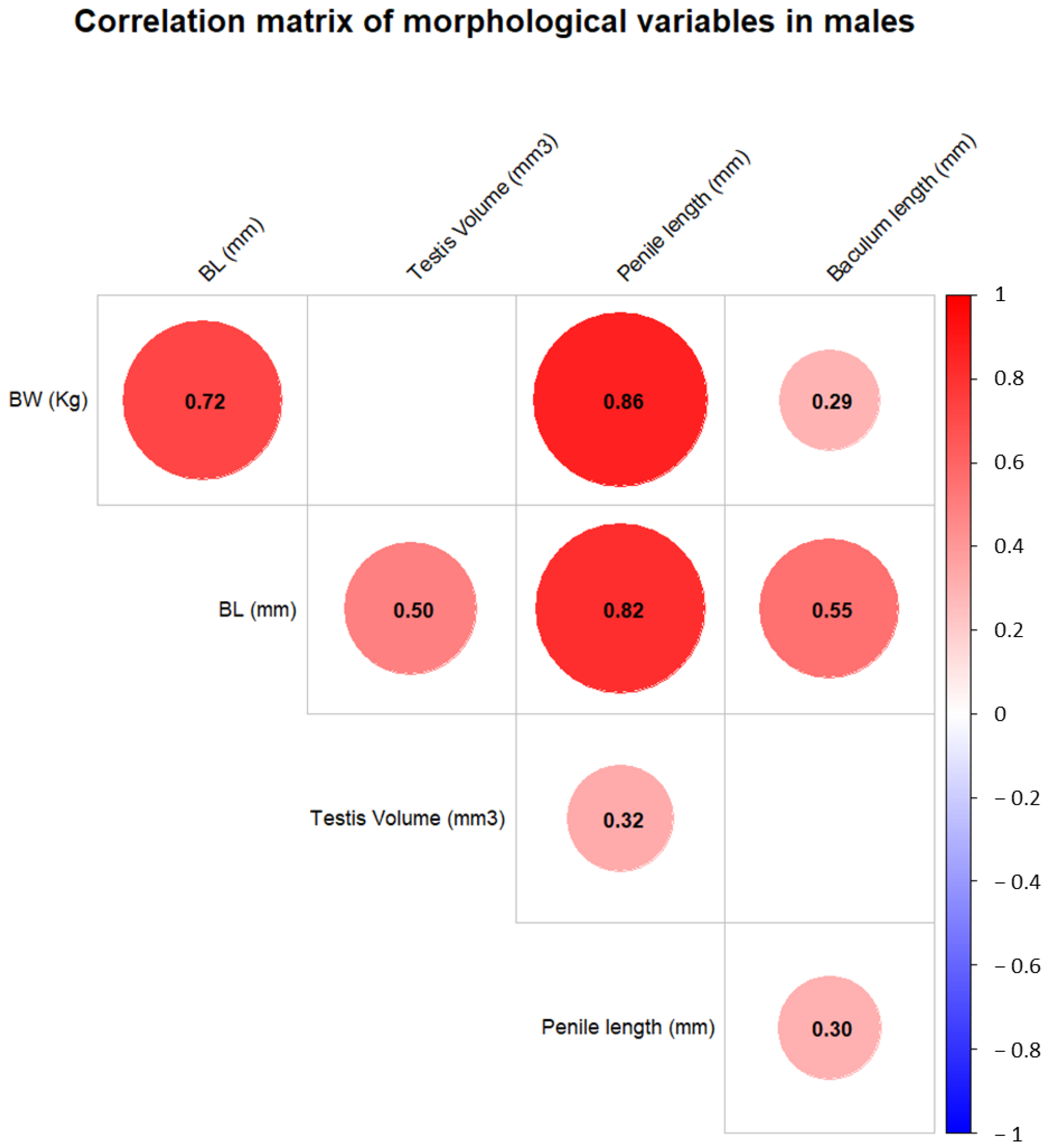 Vetsci 12 00466 g004