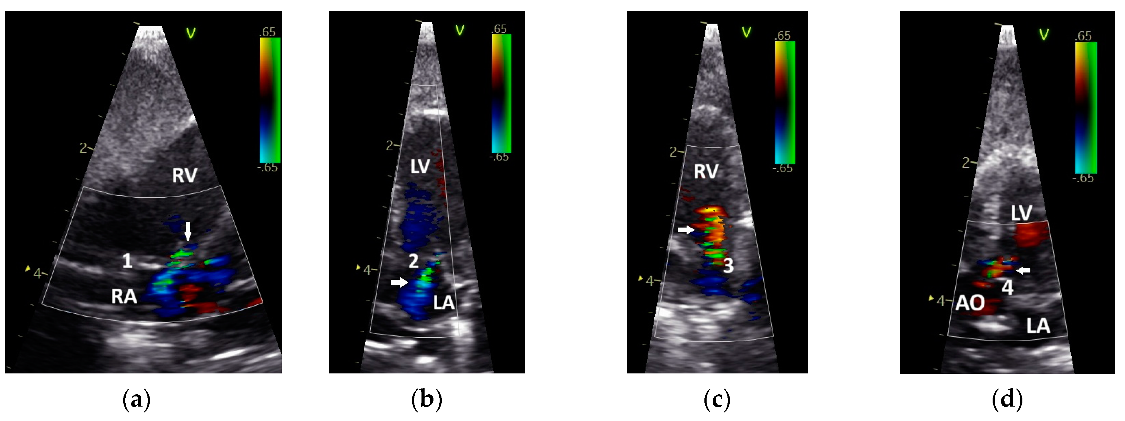 Vetsci 12 00468 g002