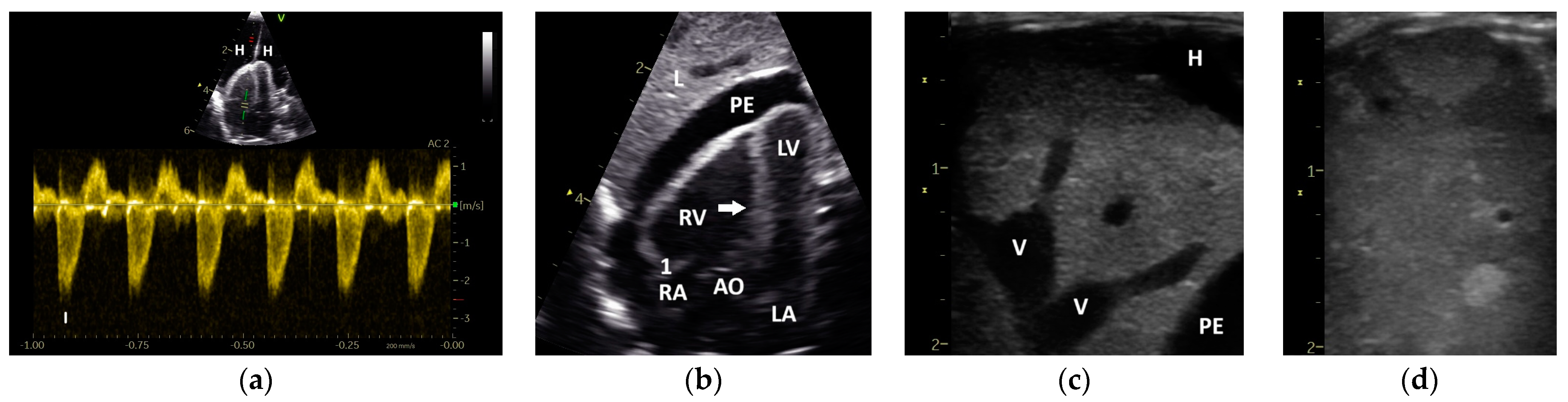 Vetsci 12 00468 g003