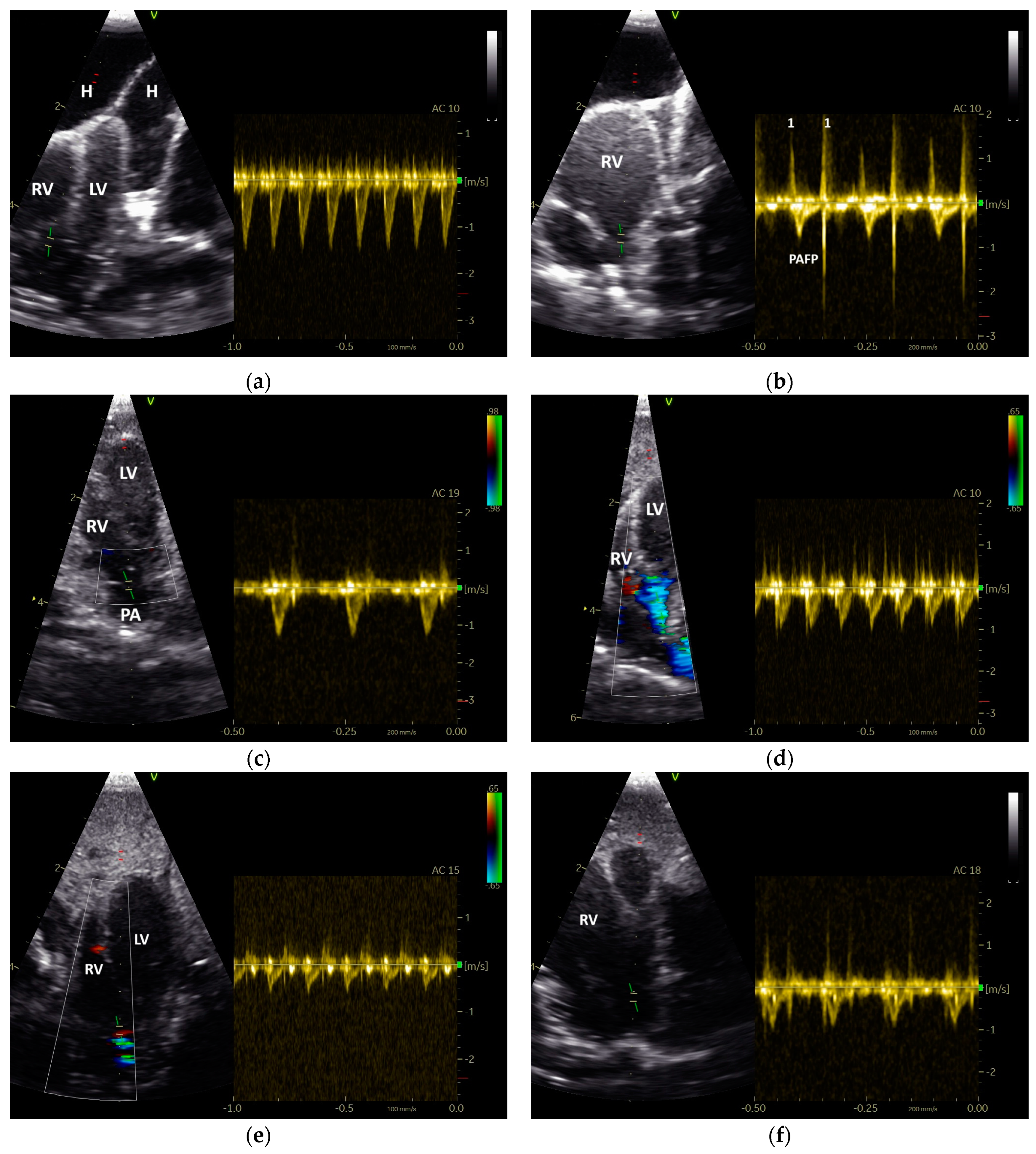 Vetsci 12 00468 g005
