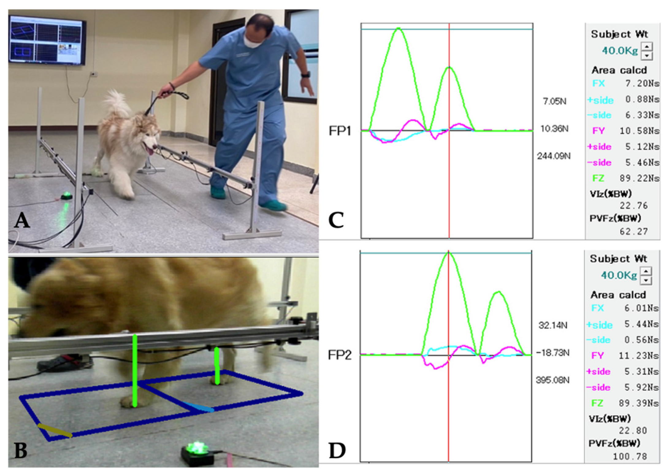 Vetsci 12 00469 g001