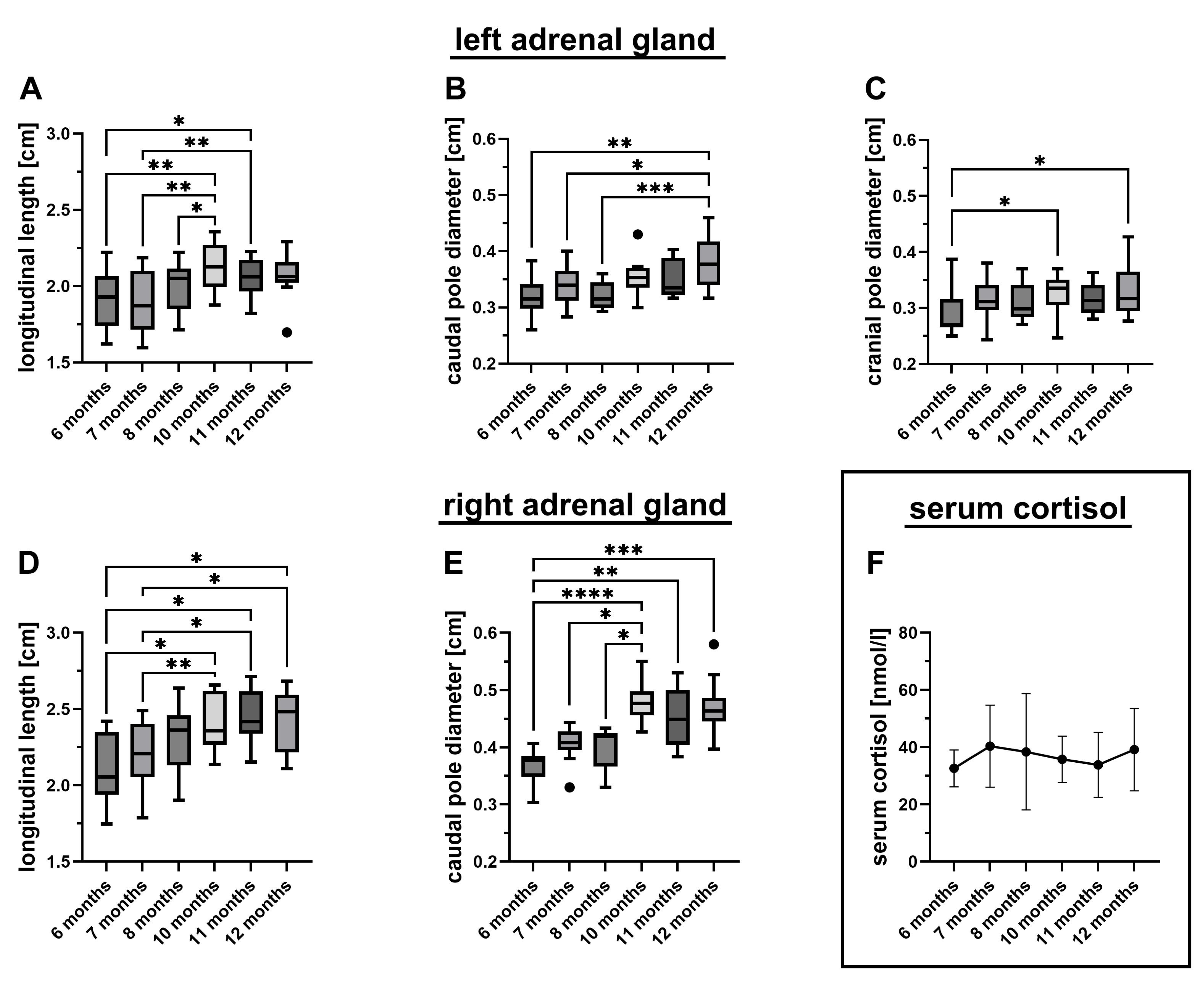Vetsci 12 00472 g001