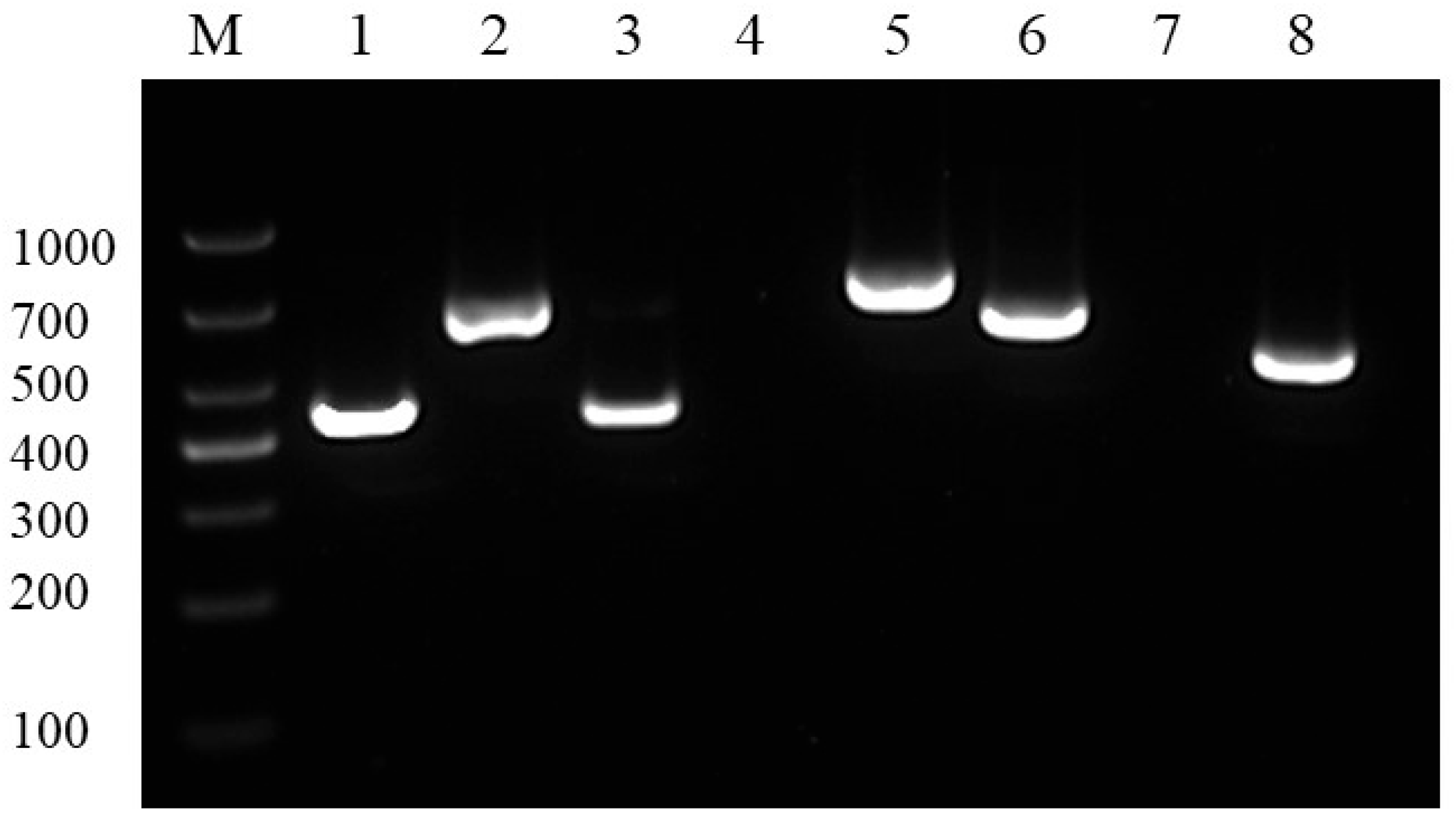 Vetsci 12 00473 g004