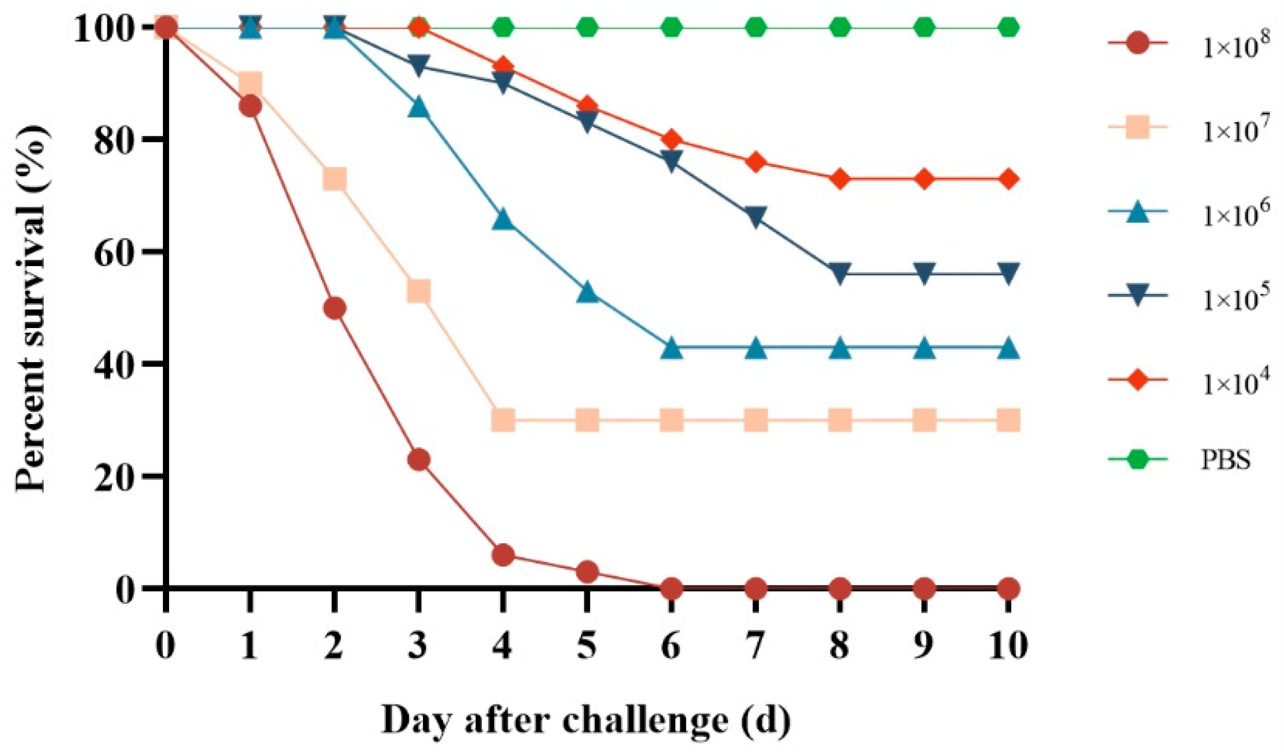 Vetsci 12 00473 g005