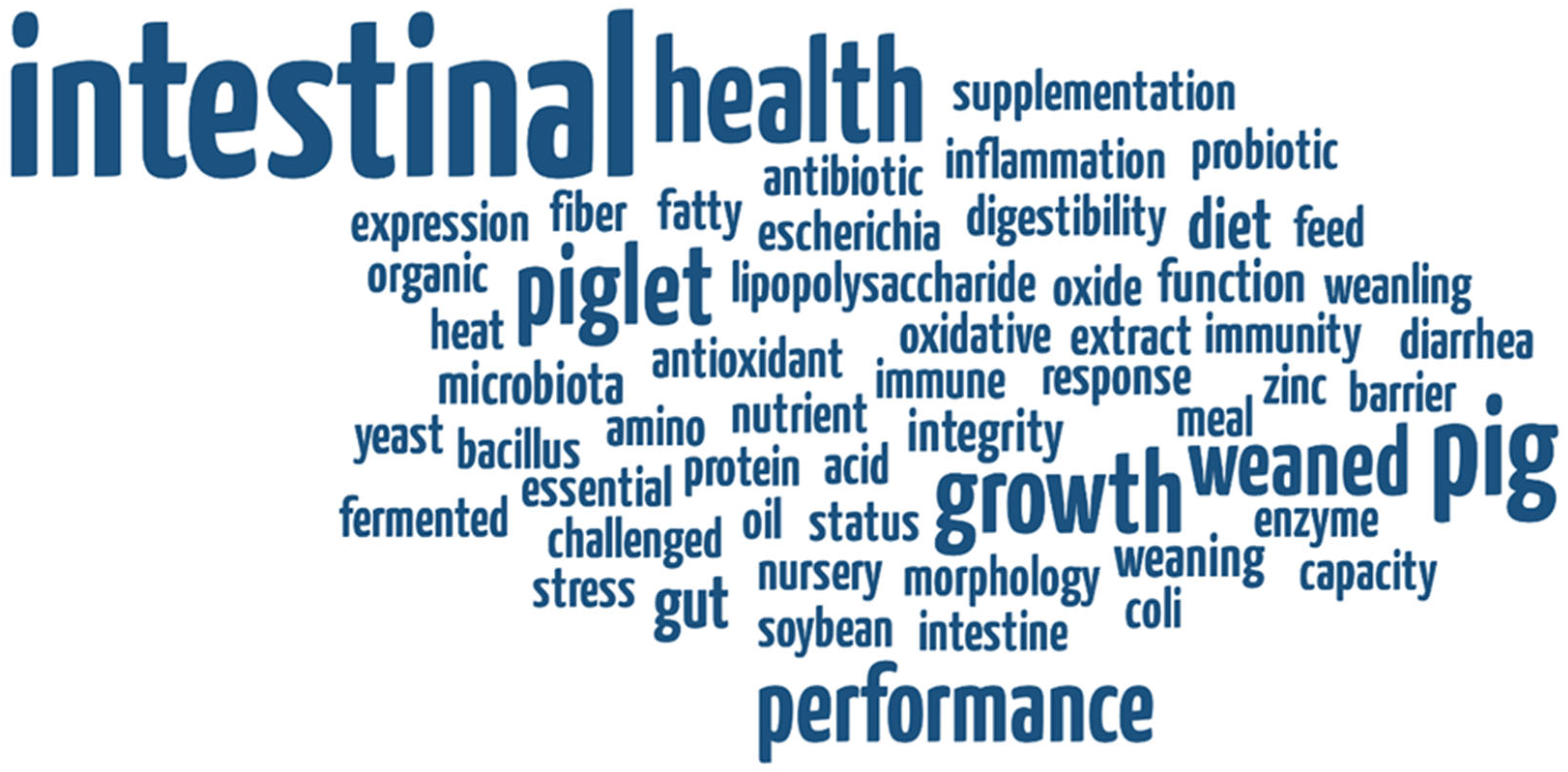 Vetsci 12 00475 g004