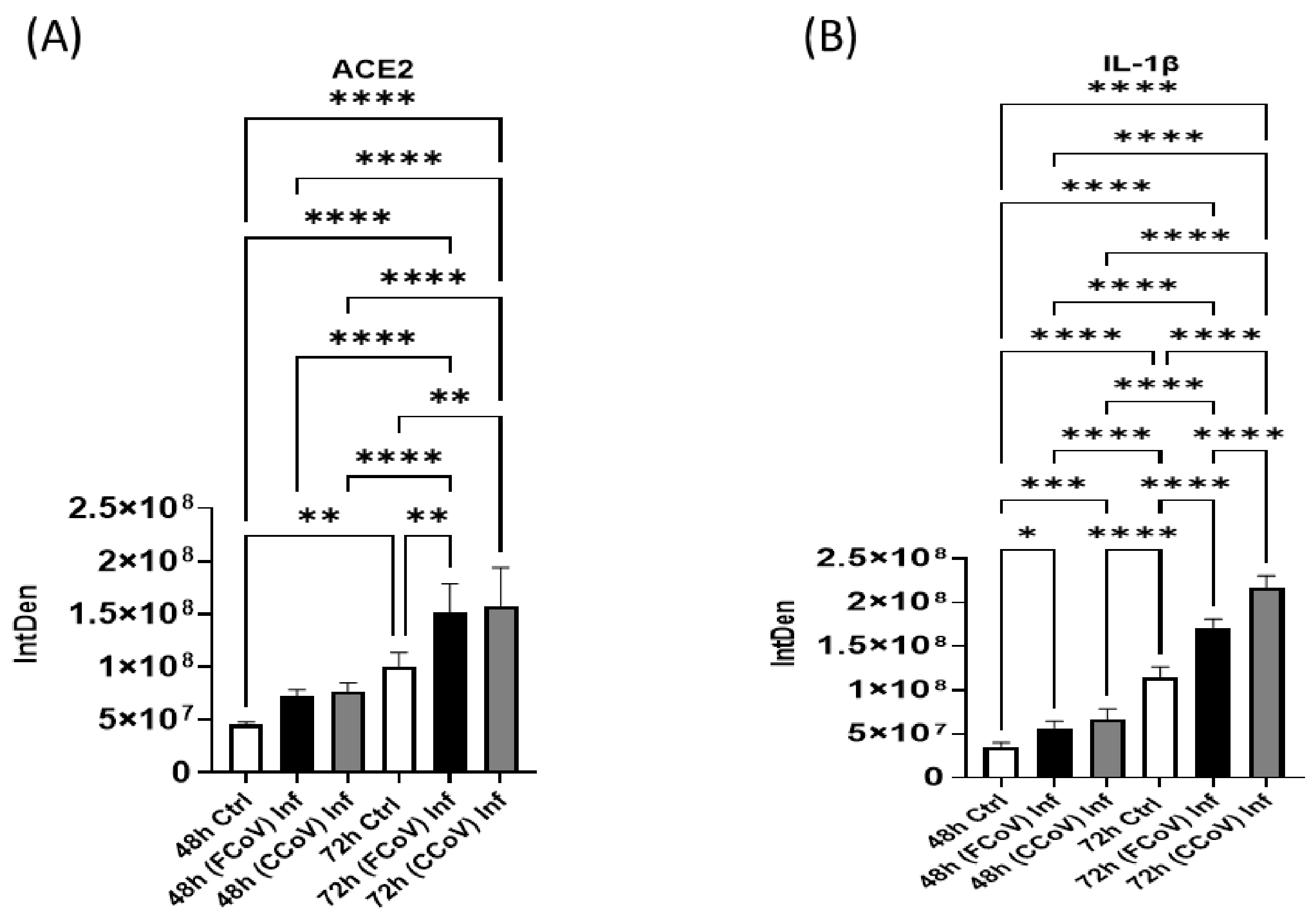 Vetsci 12 00477 g006