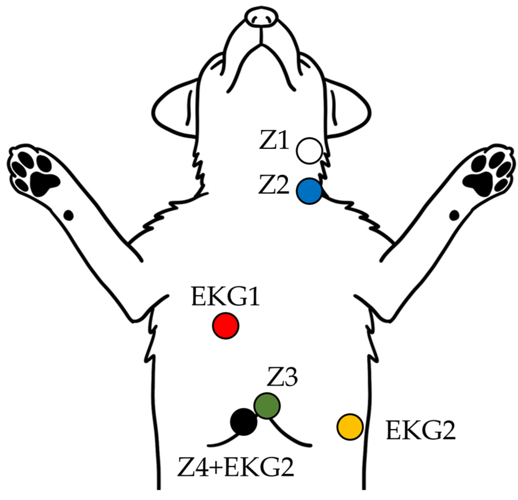 Vetsci 12 00478 g002