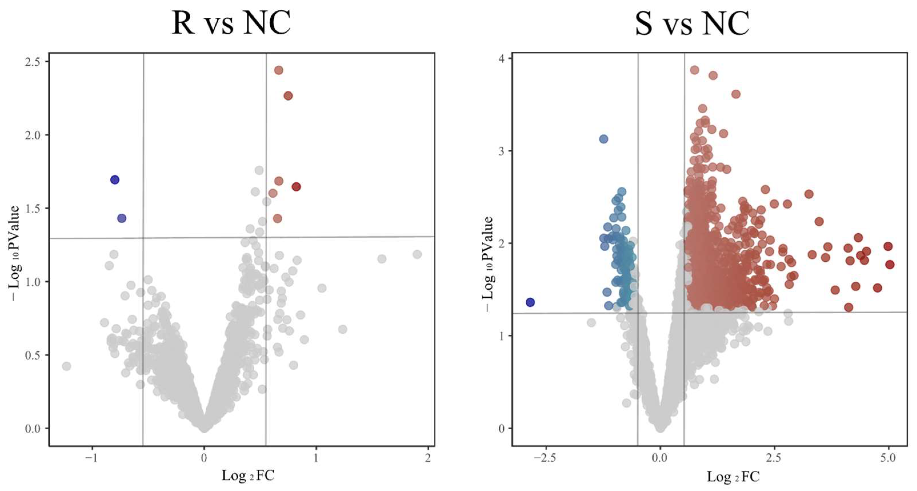 Vetsci 12 00479 g001