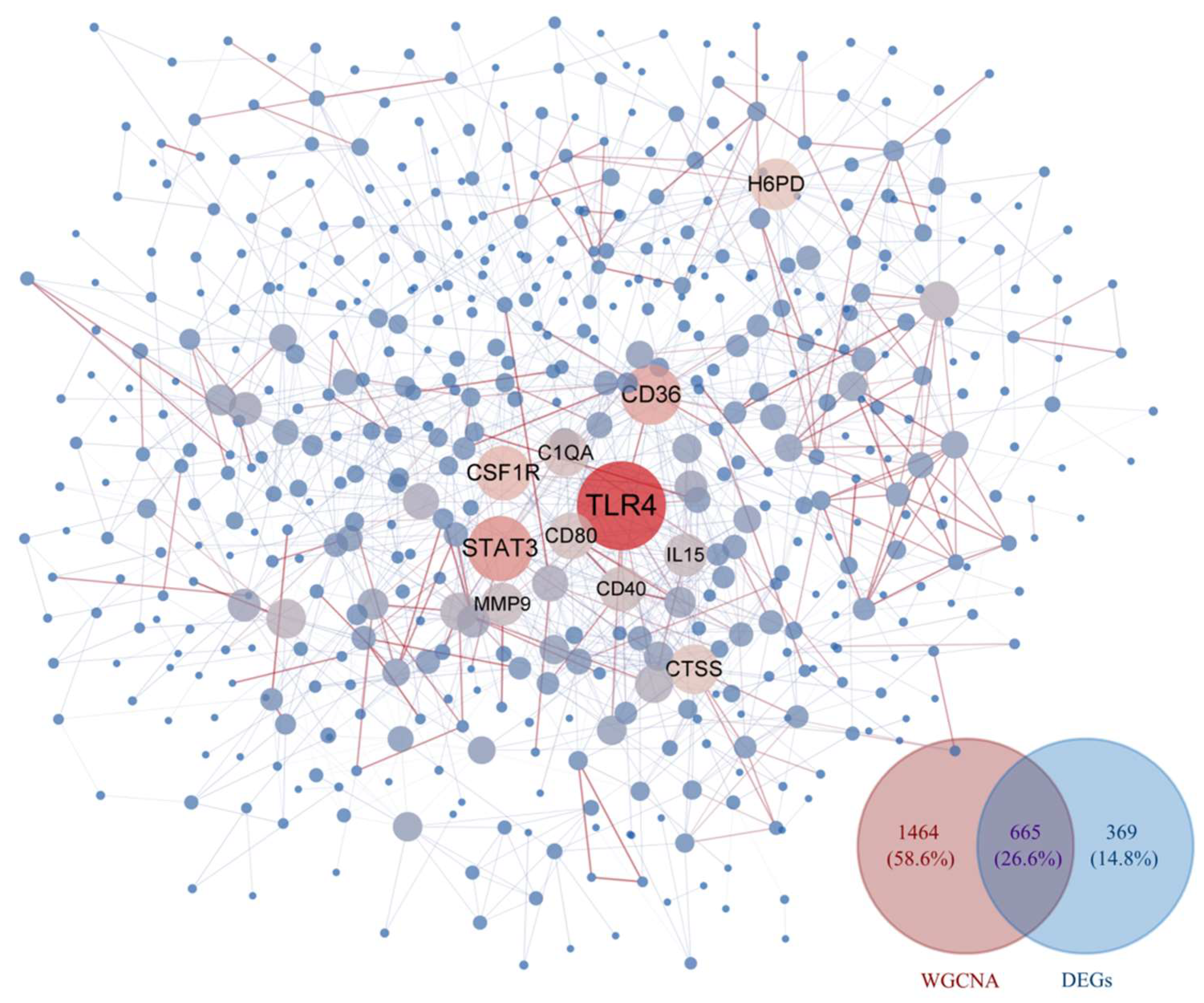 Vetsci 12 00479 g003