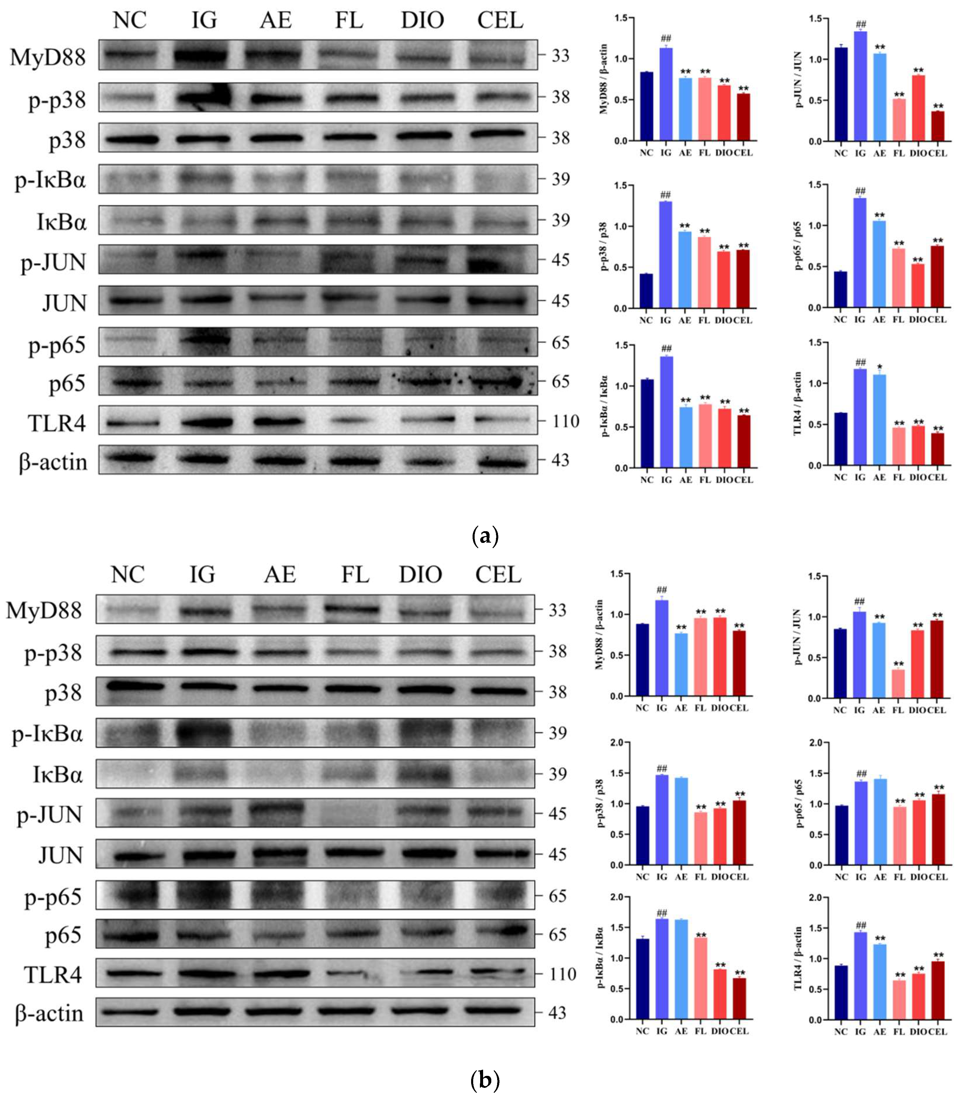 Vetsci 12 00479 g008