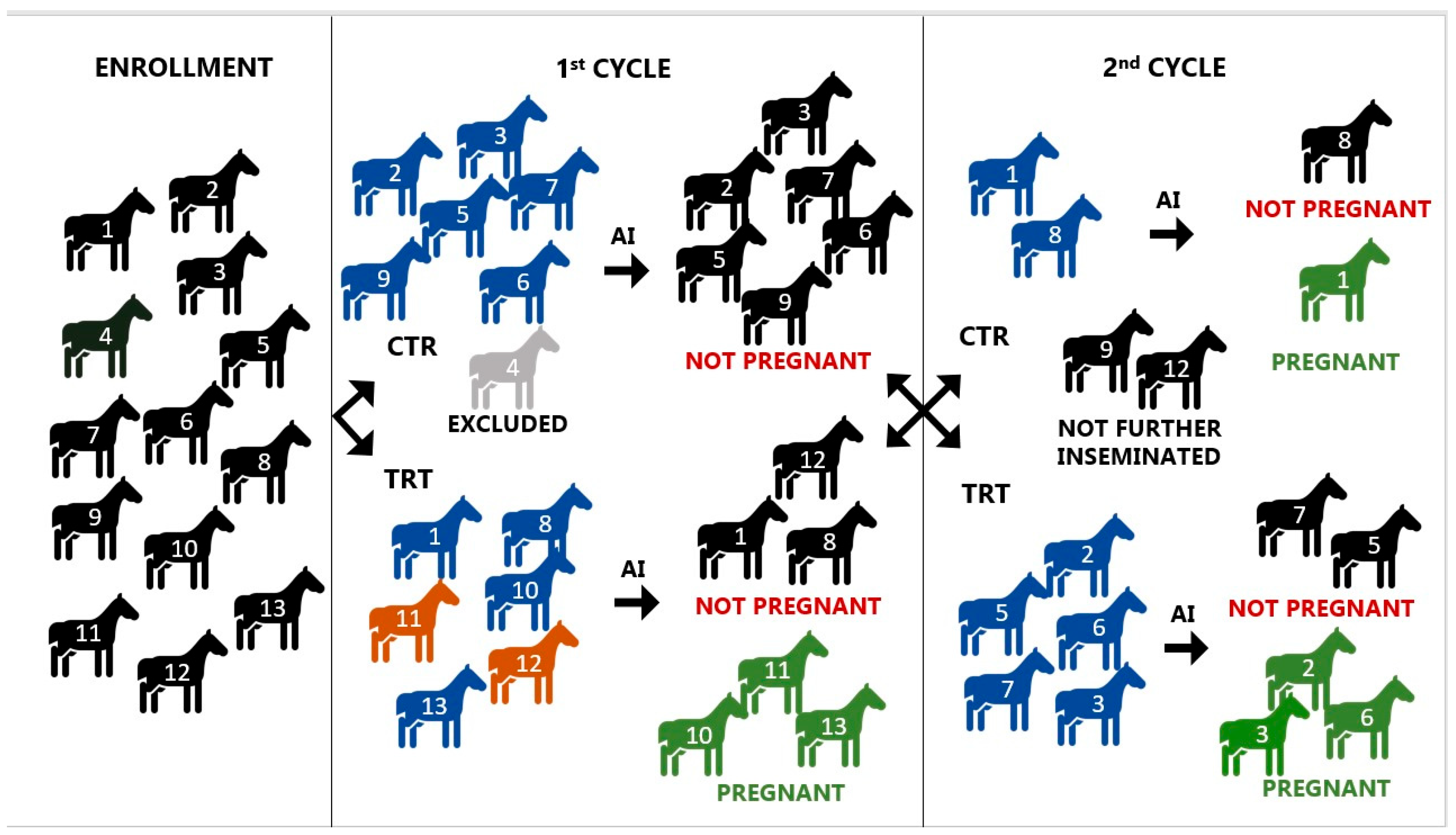 Vetsci 12 00482 g001
