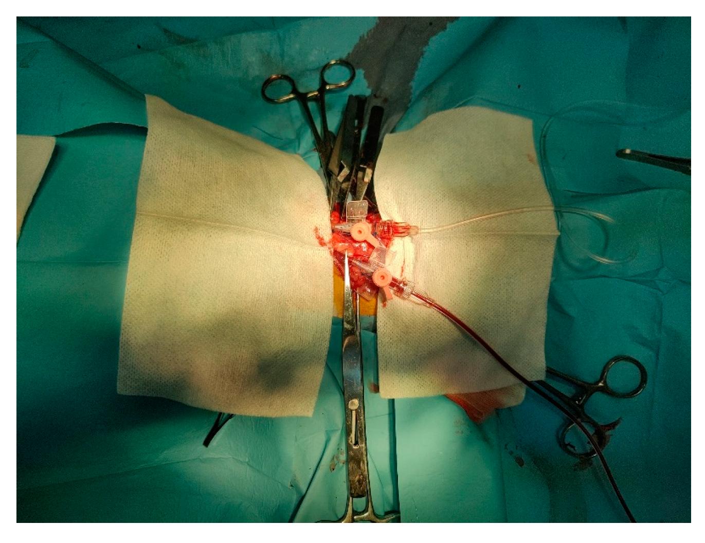 Vetsci 12 00485 g001