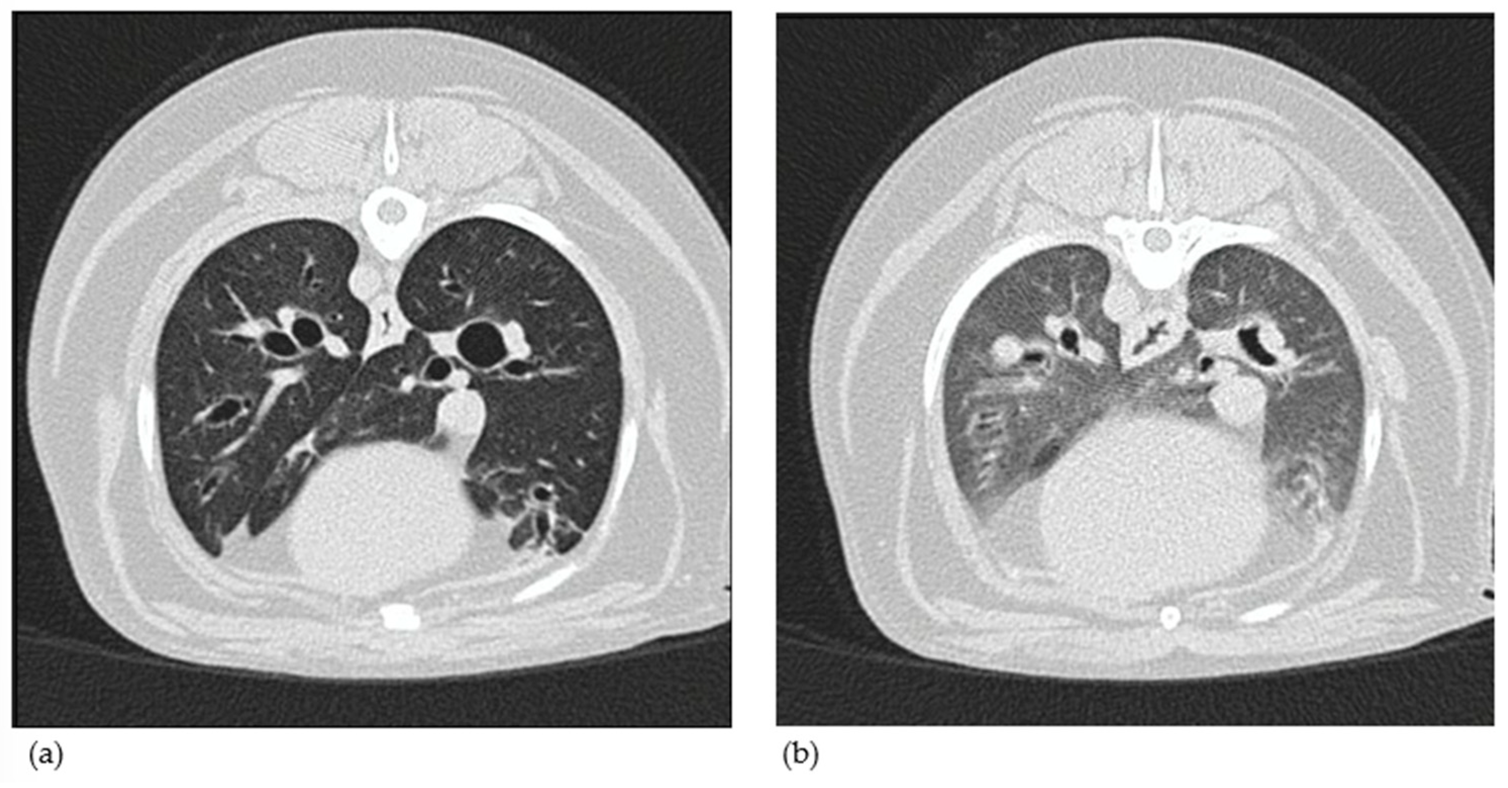 Vetsci 12 00487 g007