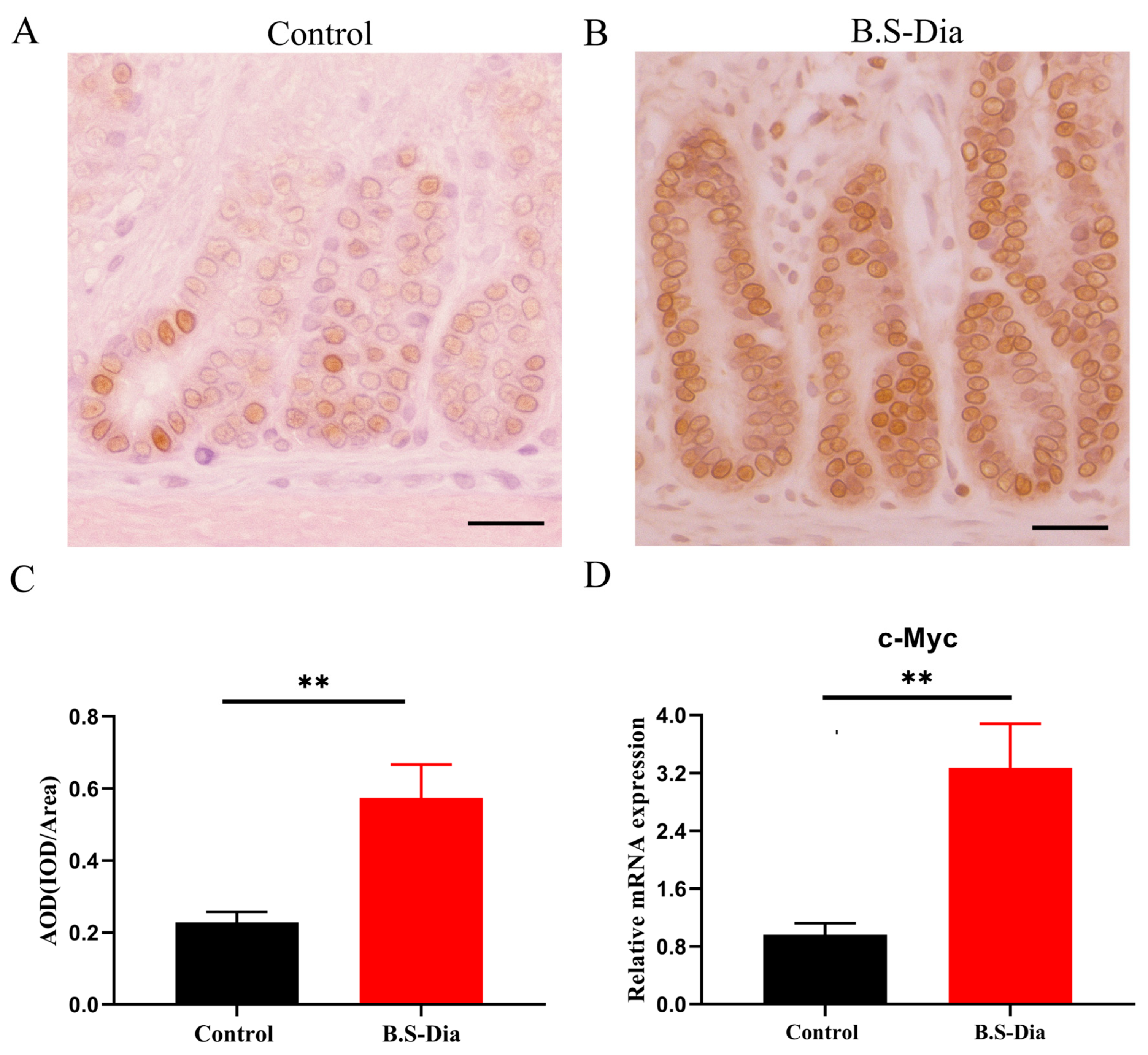 Vetsci 12 00489 g002