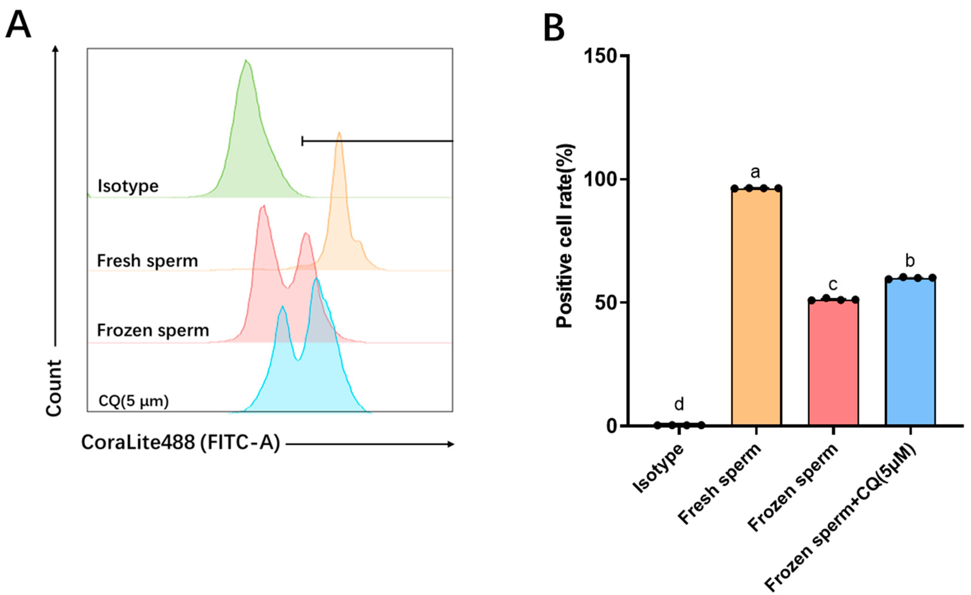 Vetsci 12 00490 g002