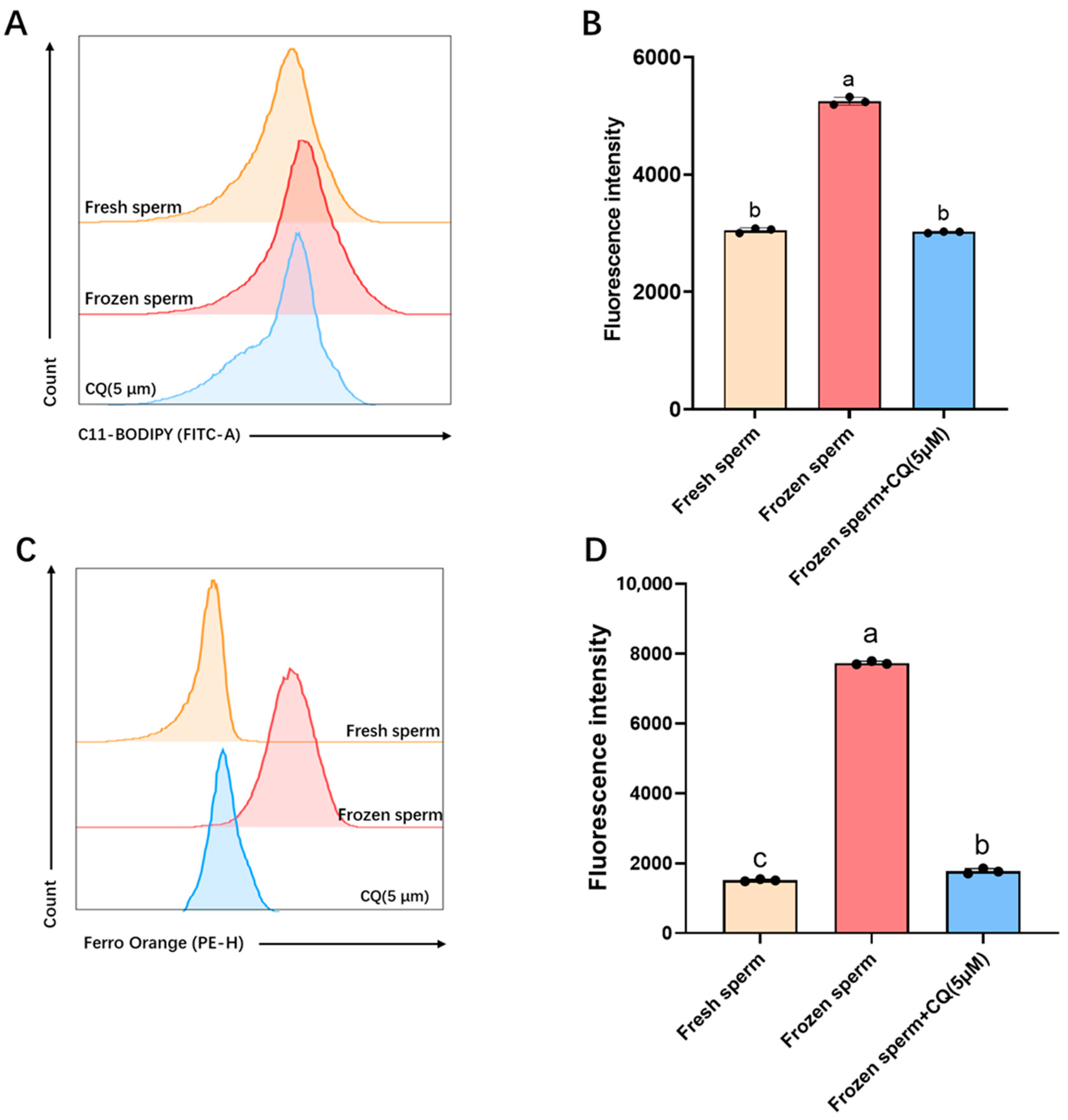 Vetsci 12 00490 g003