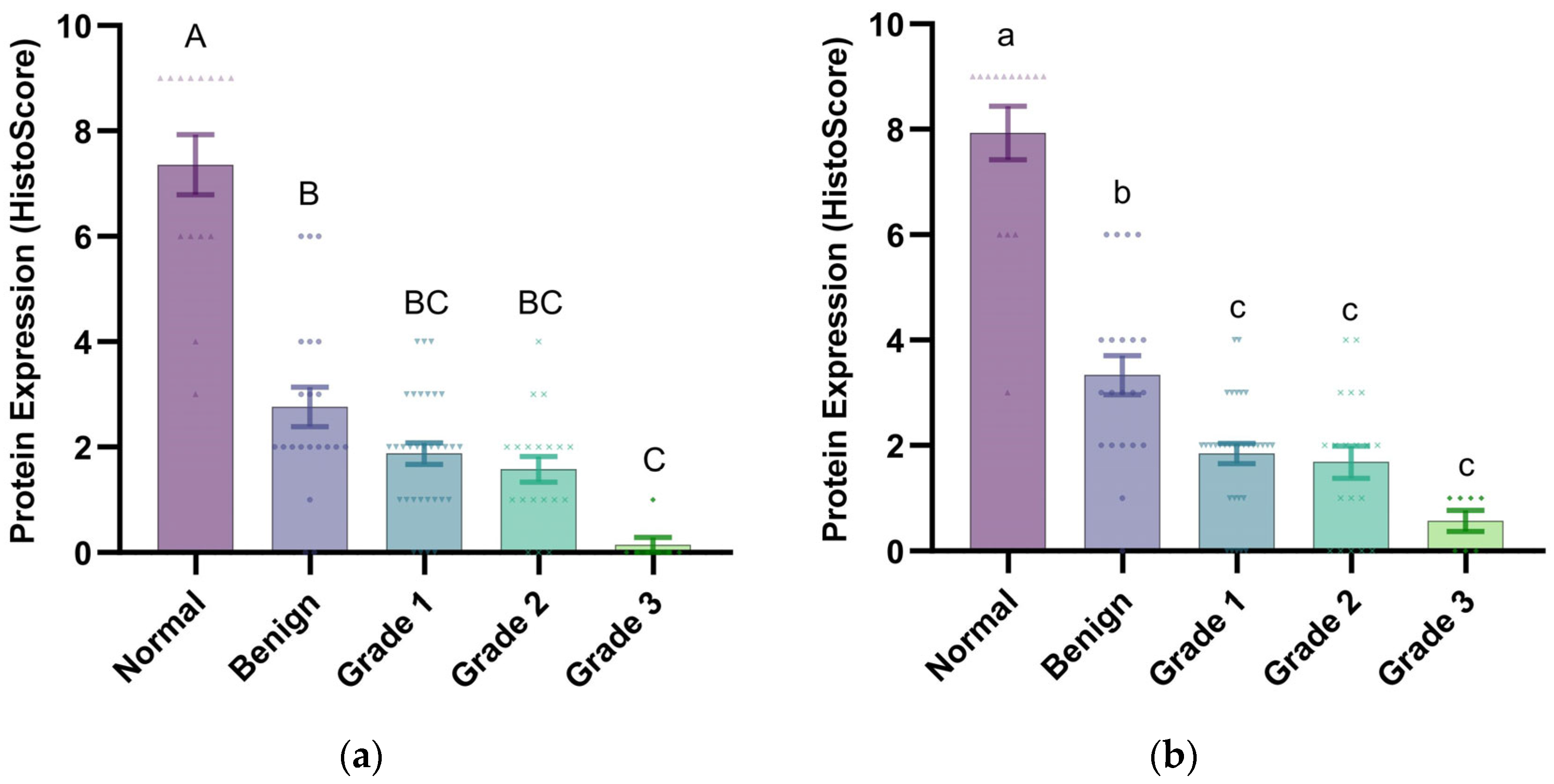 Vetsci 12 00496 g003