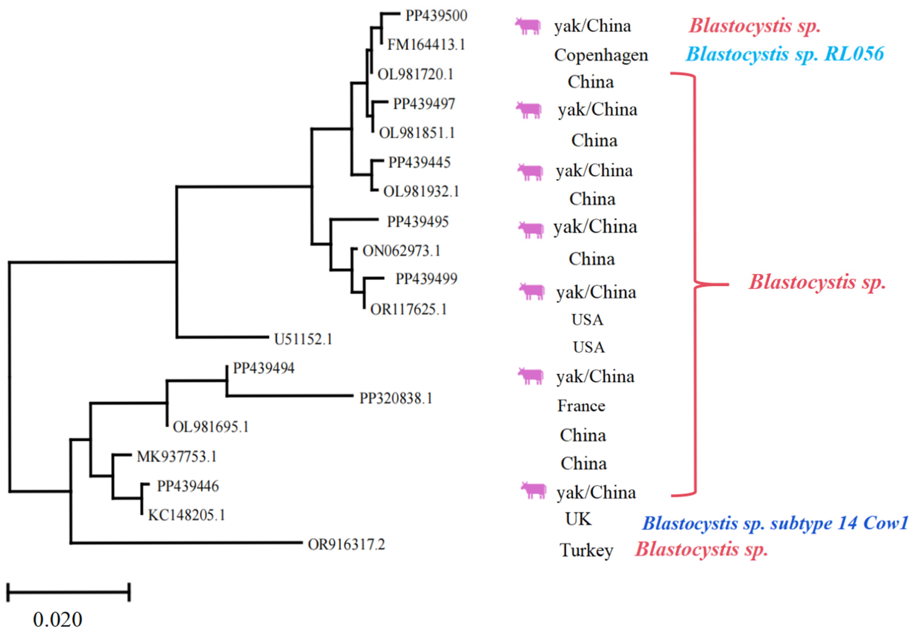 Vetsci 12 00504 g007