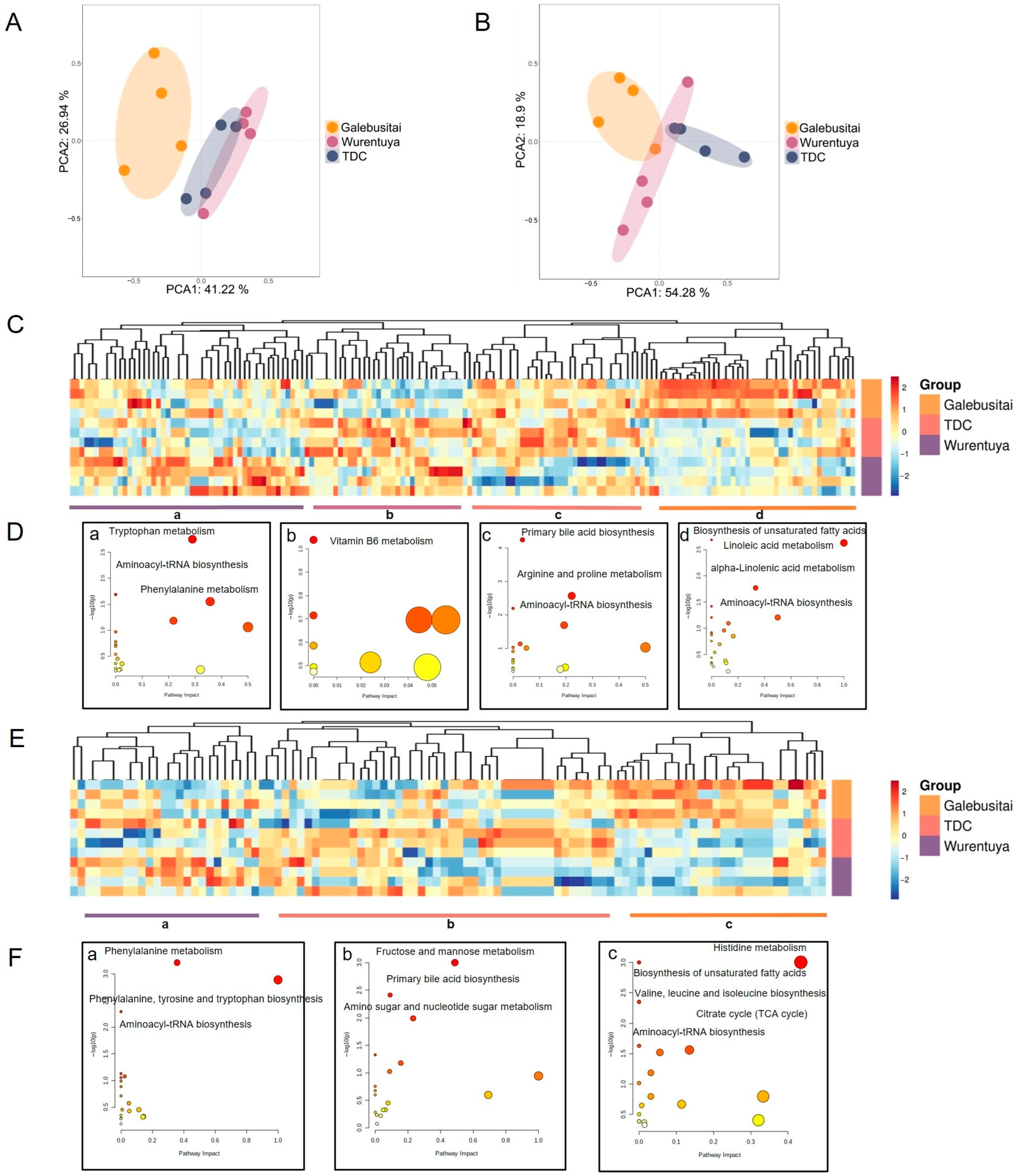 Vetsci 12 00506 g007