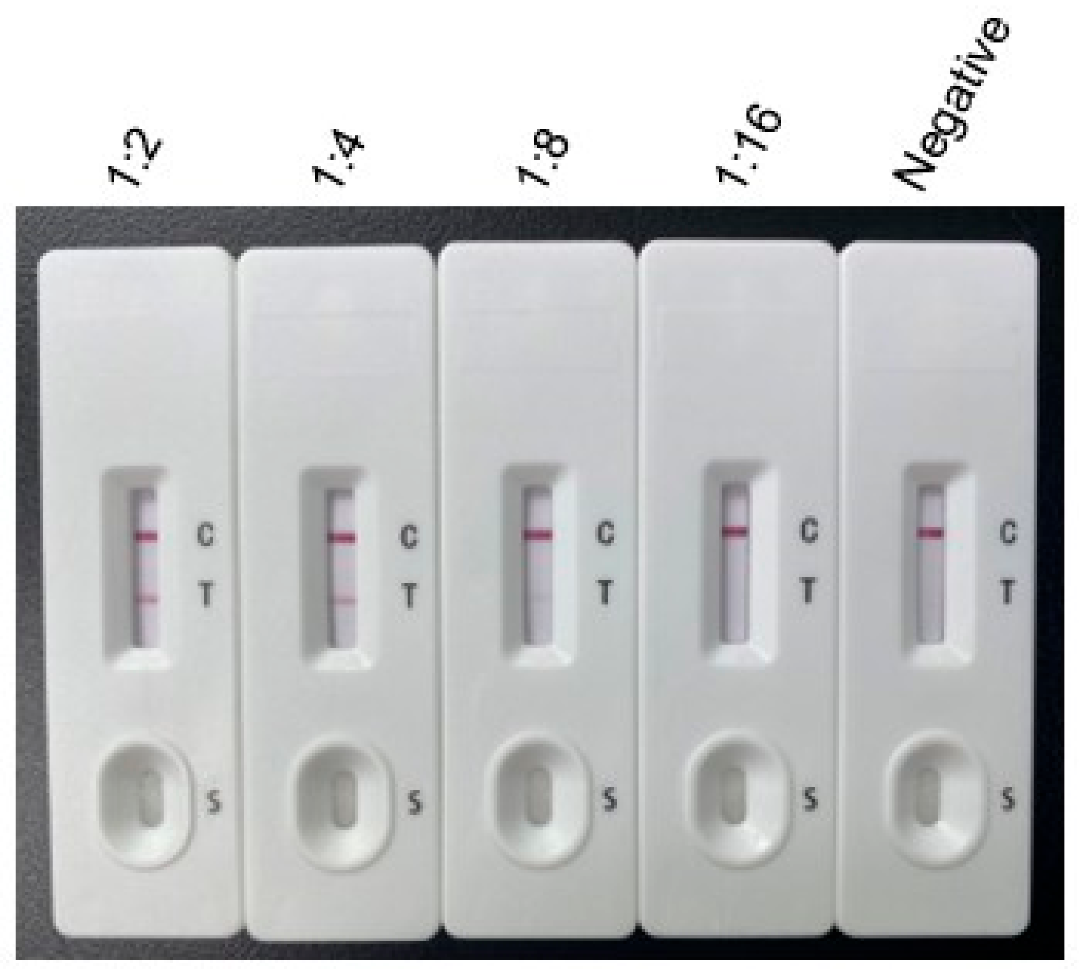 Vetsci 12 00509 g004 Vetsci 12 00509 g004