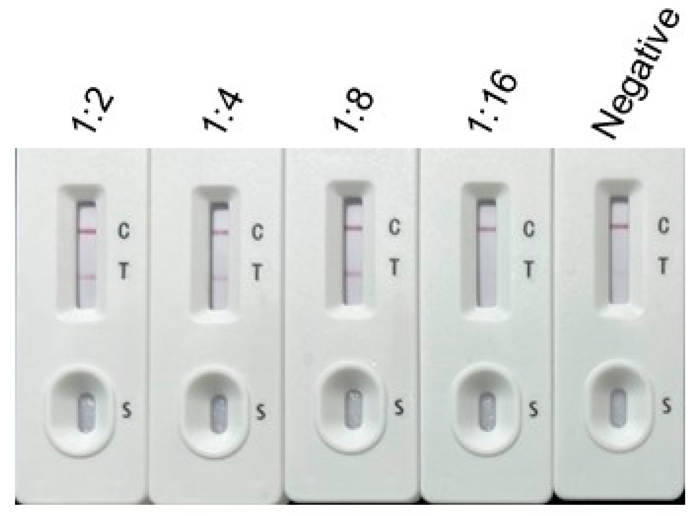 Vetsci 12 00509 g006 Vetsci 12 00509 g006