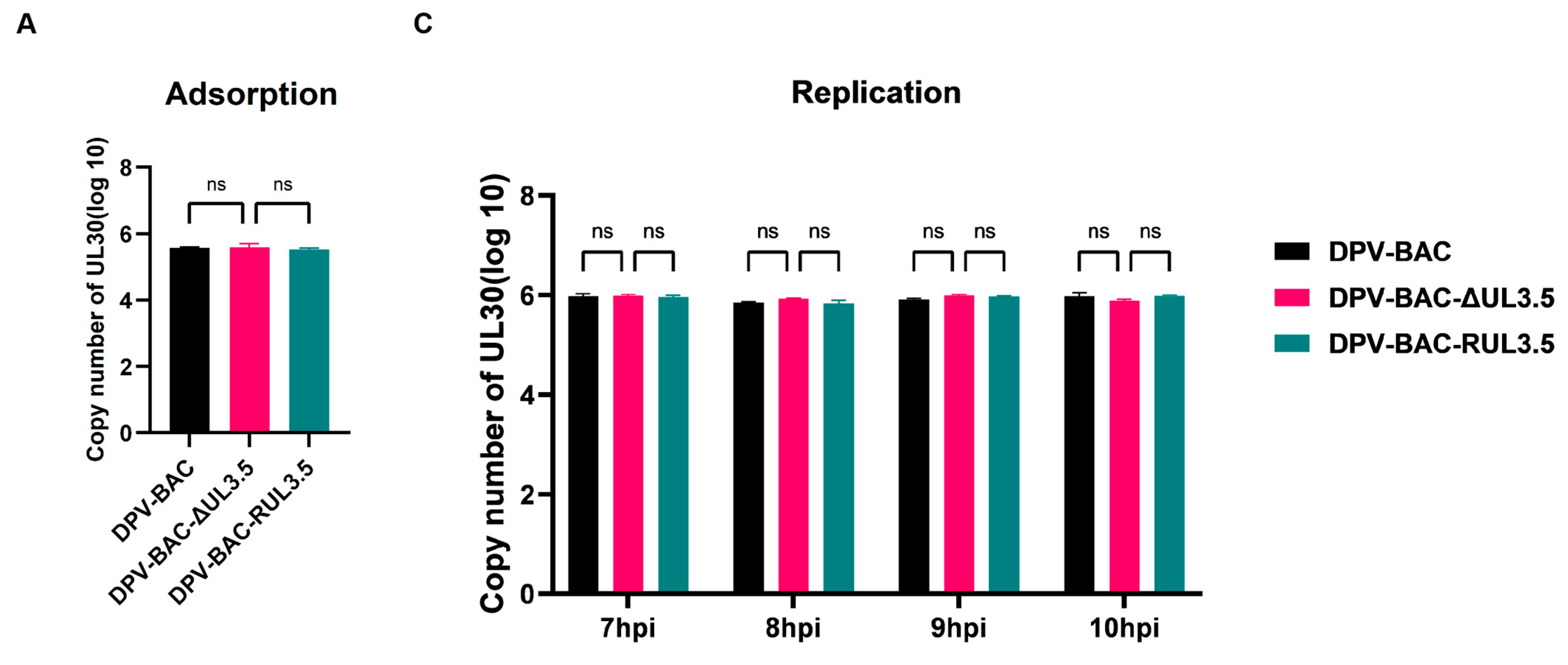 Vetsci 12 00510 g006a
