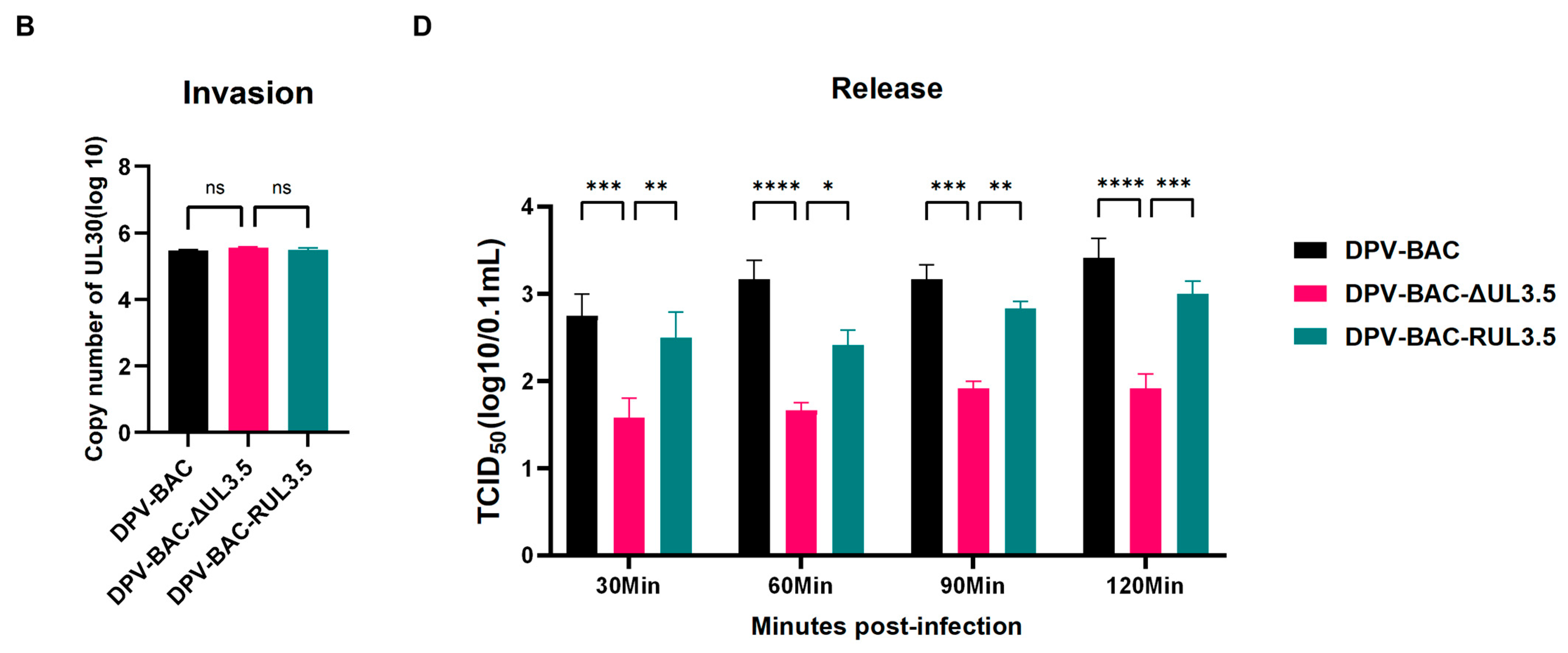 Vetsci 12 00510 g006b
