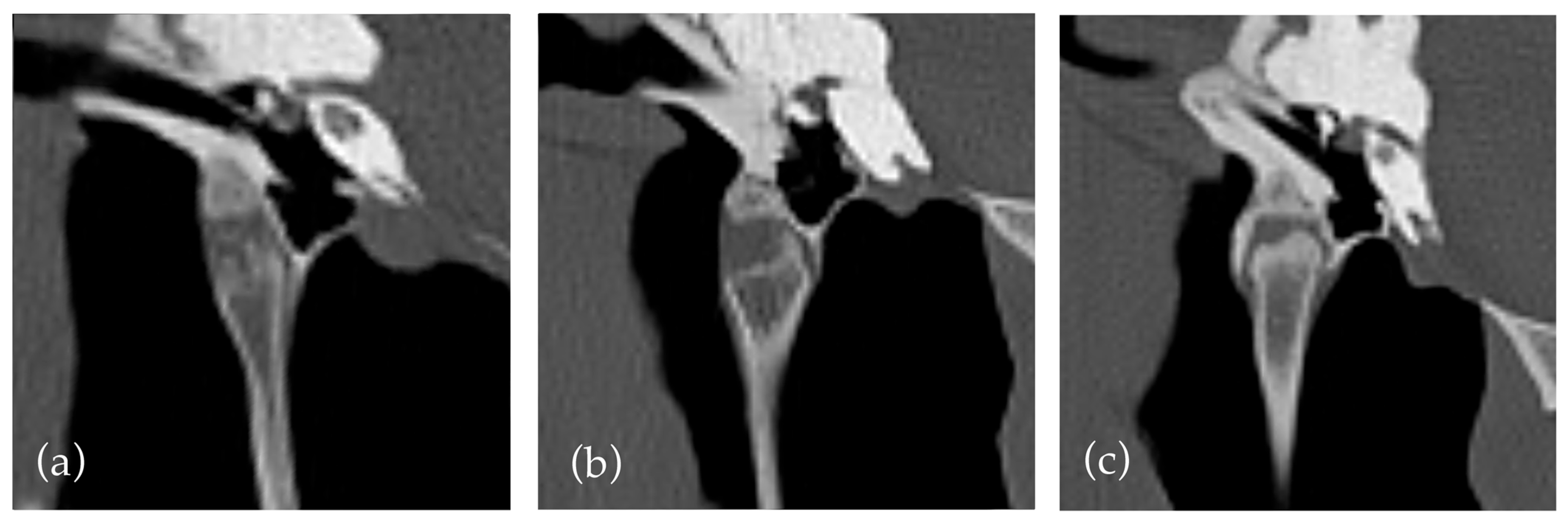 Vetsci 12 00511 g002