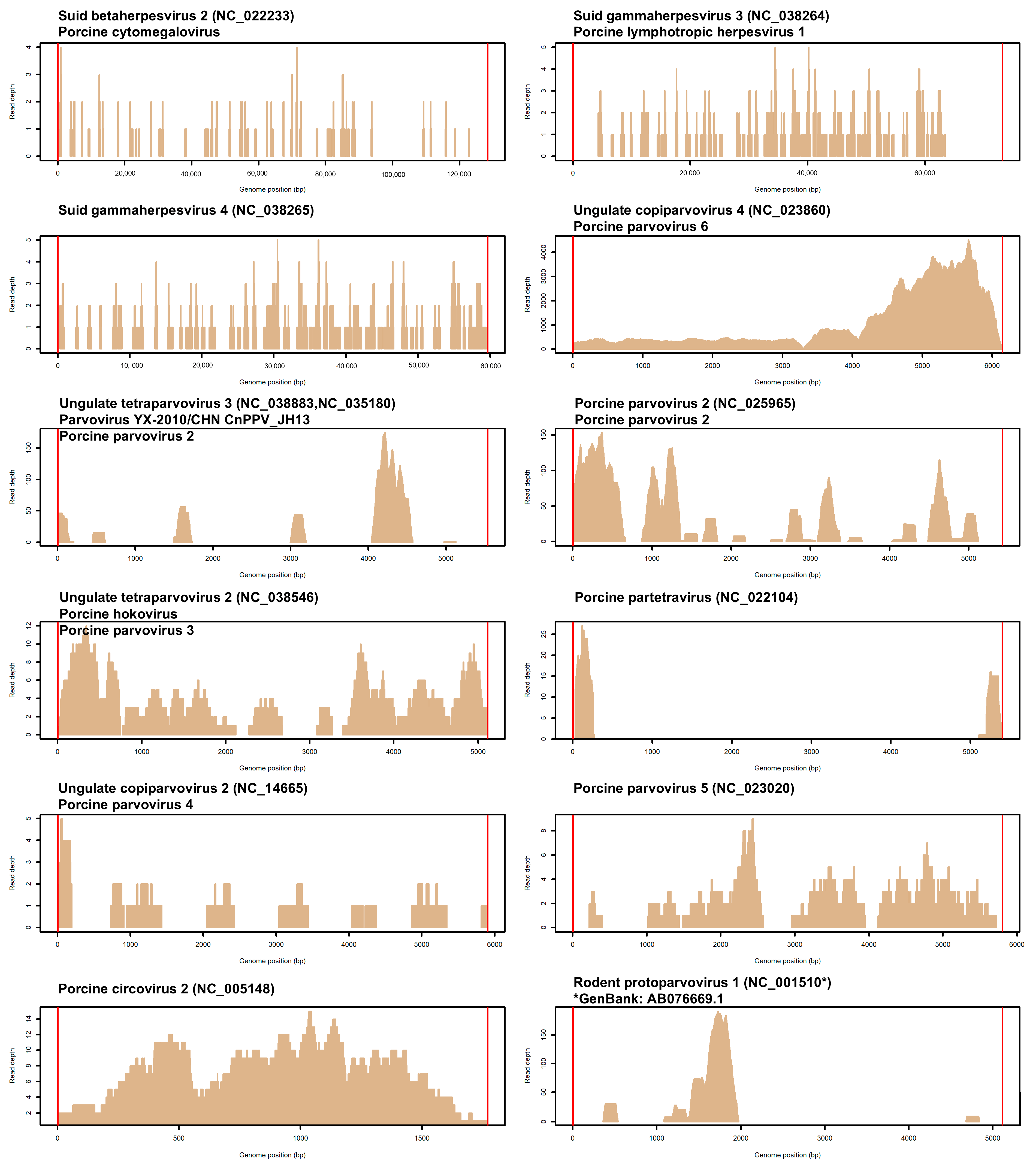 Vetsci 12 00513 g001