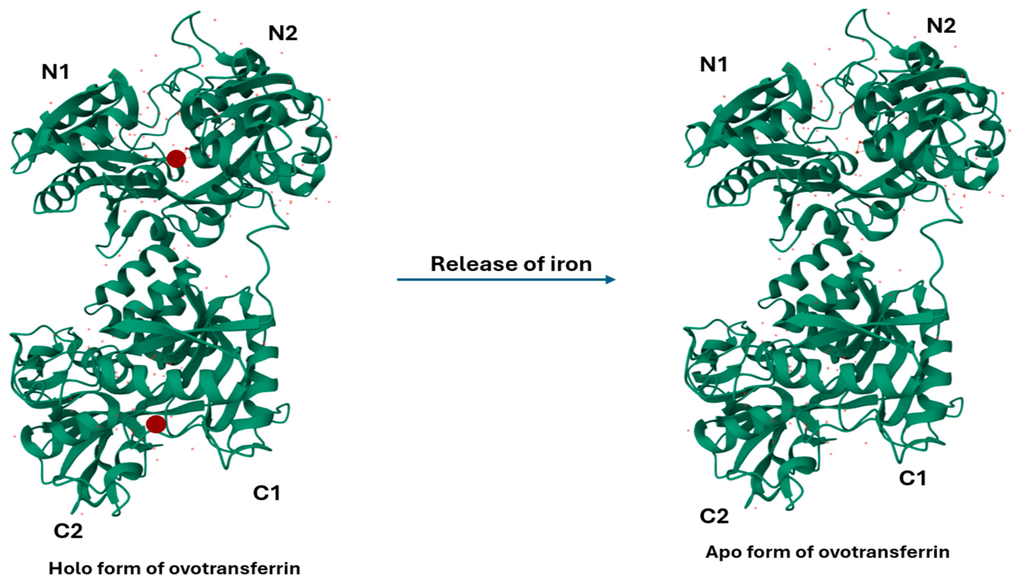 Vetsci 12 00514 g001