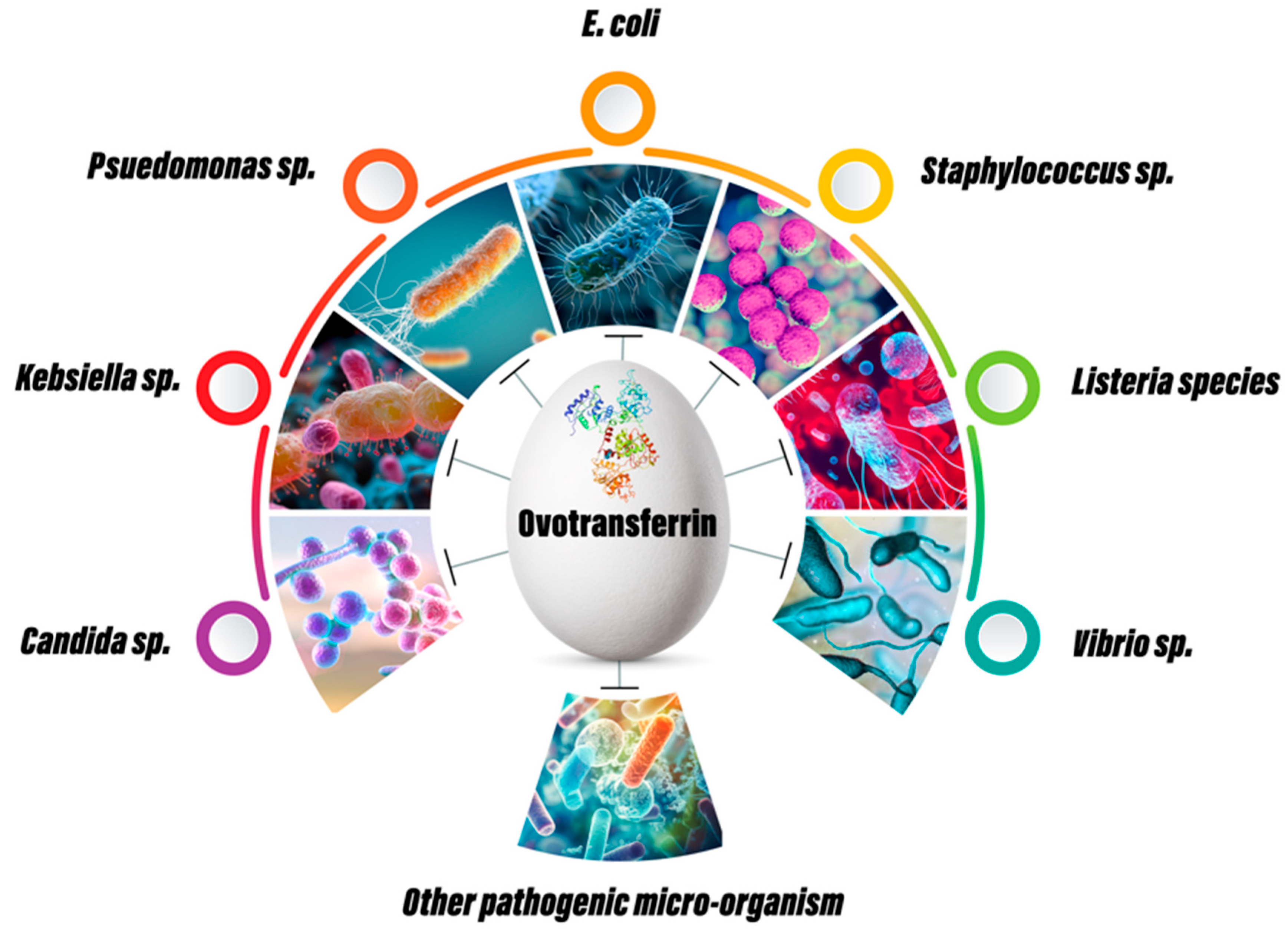 Vetsci 12 00514 g003