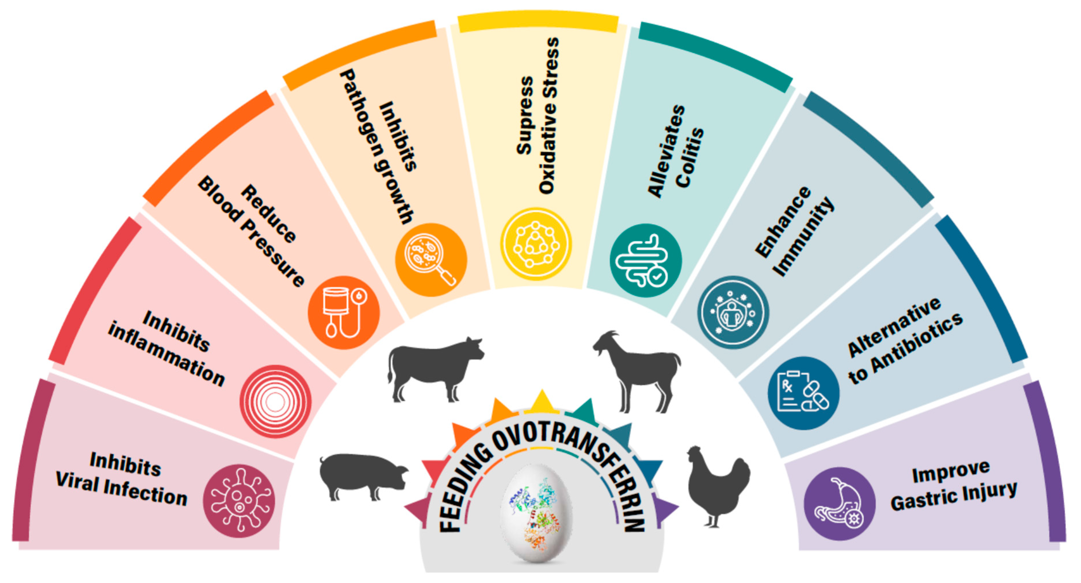 Vetsci 12 00514 g004